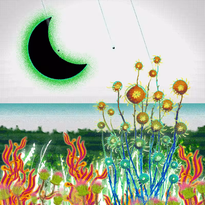 Onablo's Herbs #35