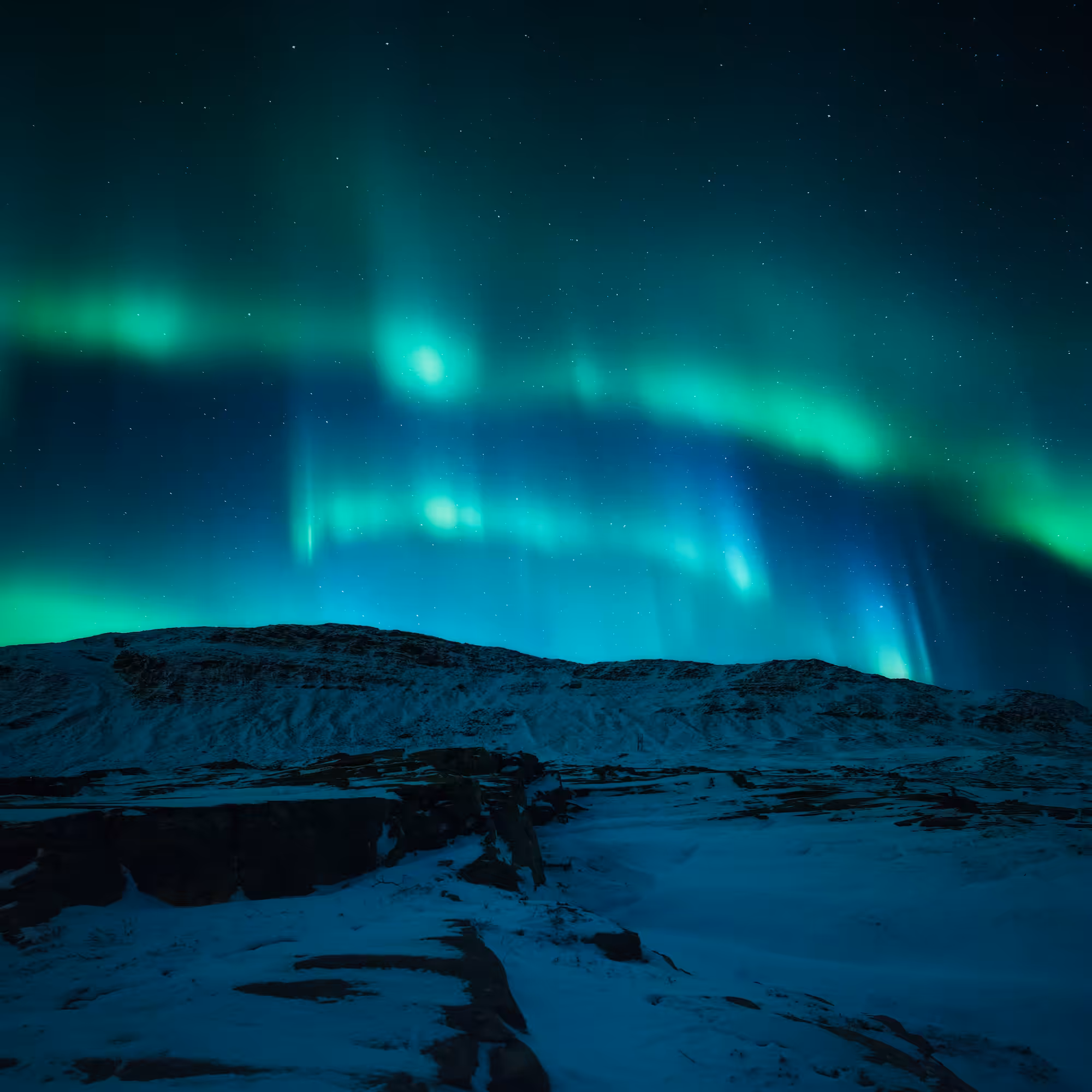 Arctic Wonders #5
