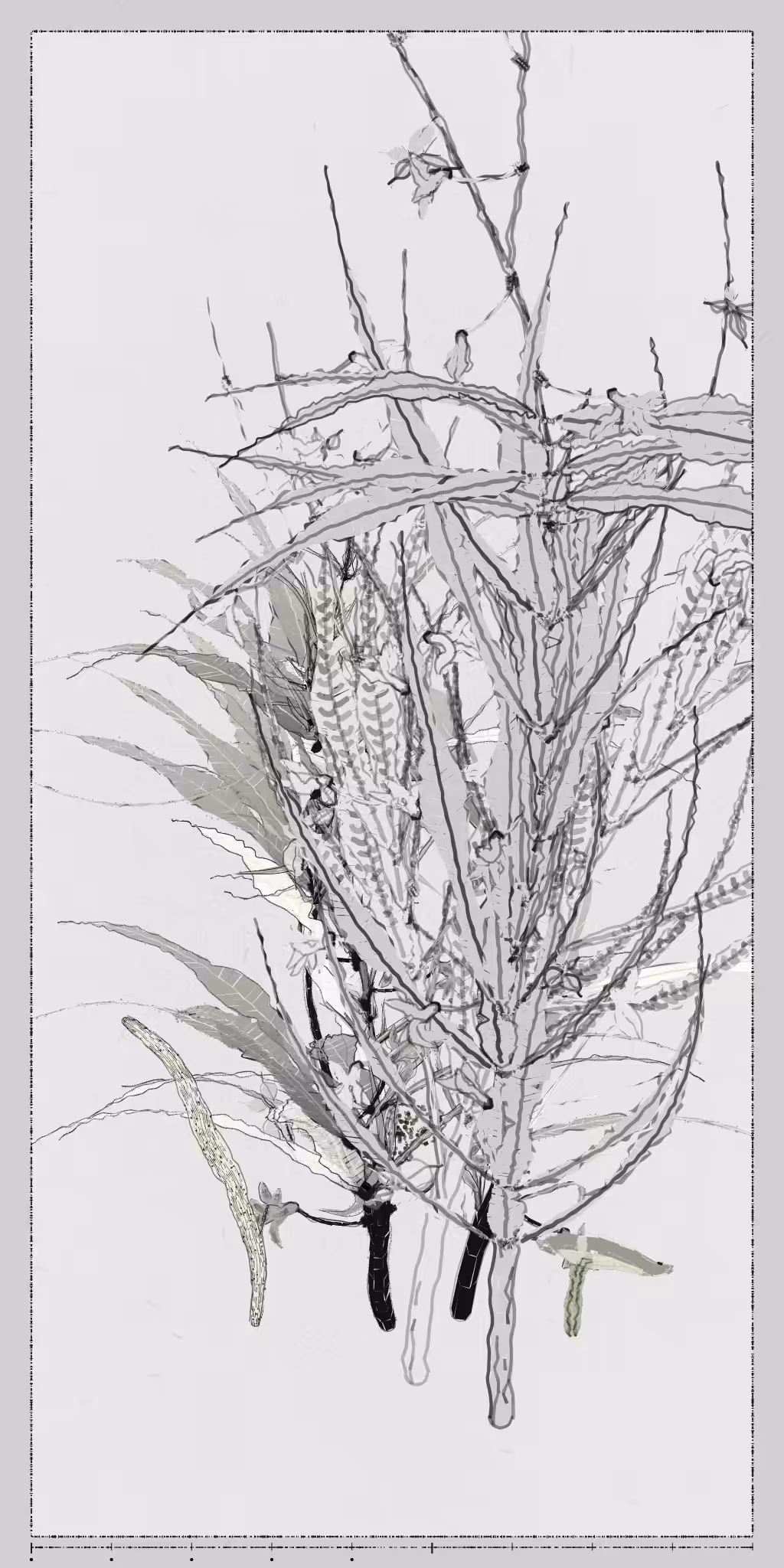 Polypaths | 植徑集 #641