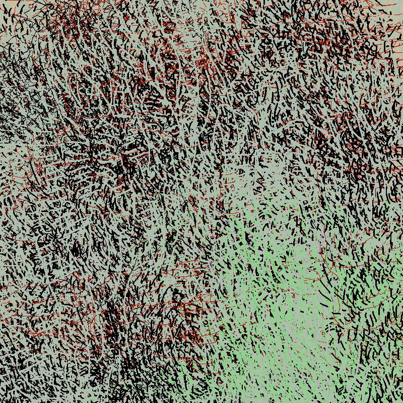 a bird worked on my painting #53