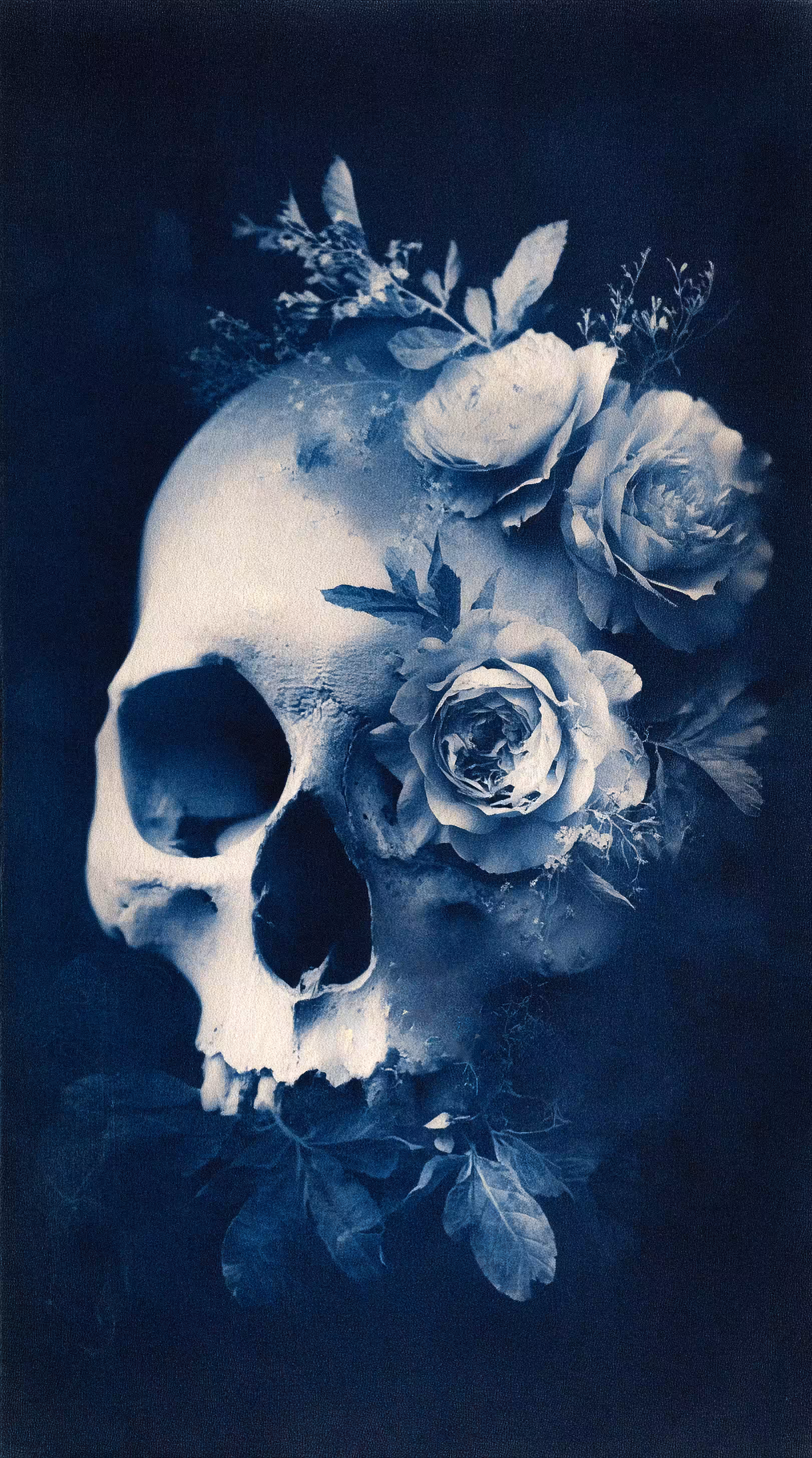 Where the Roses Stayed