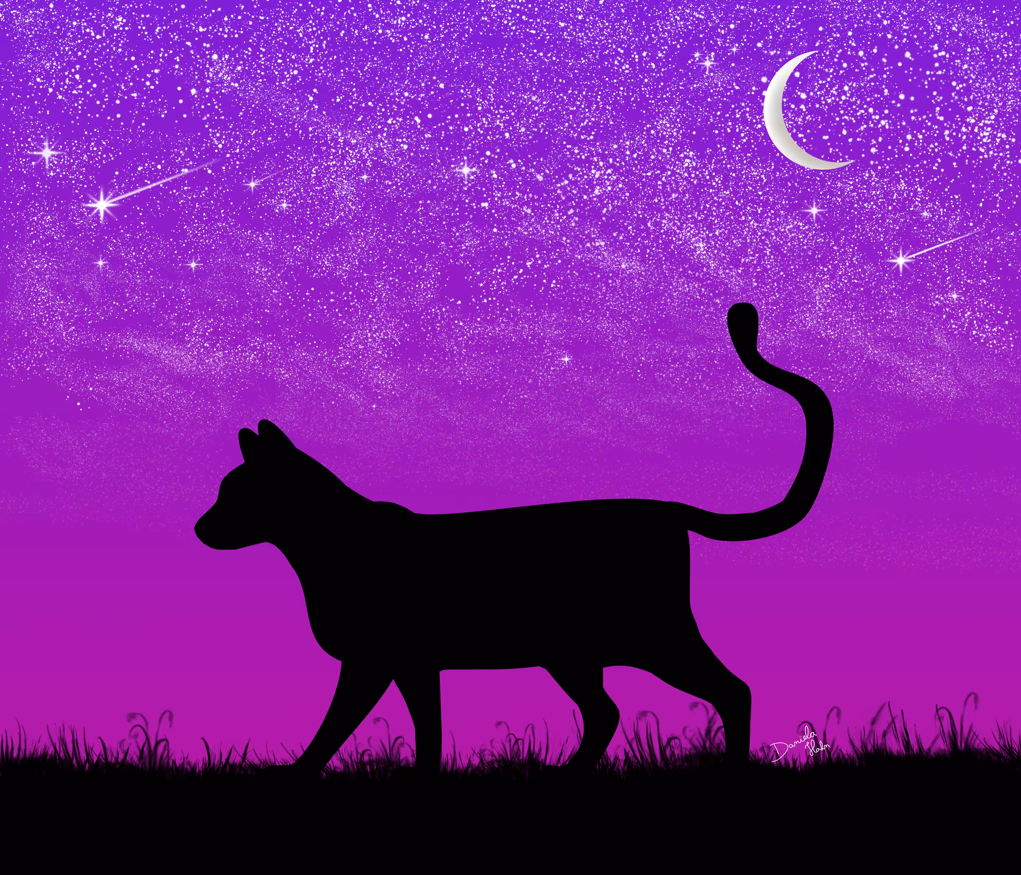 Cat Walking Under the Stars