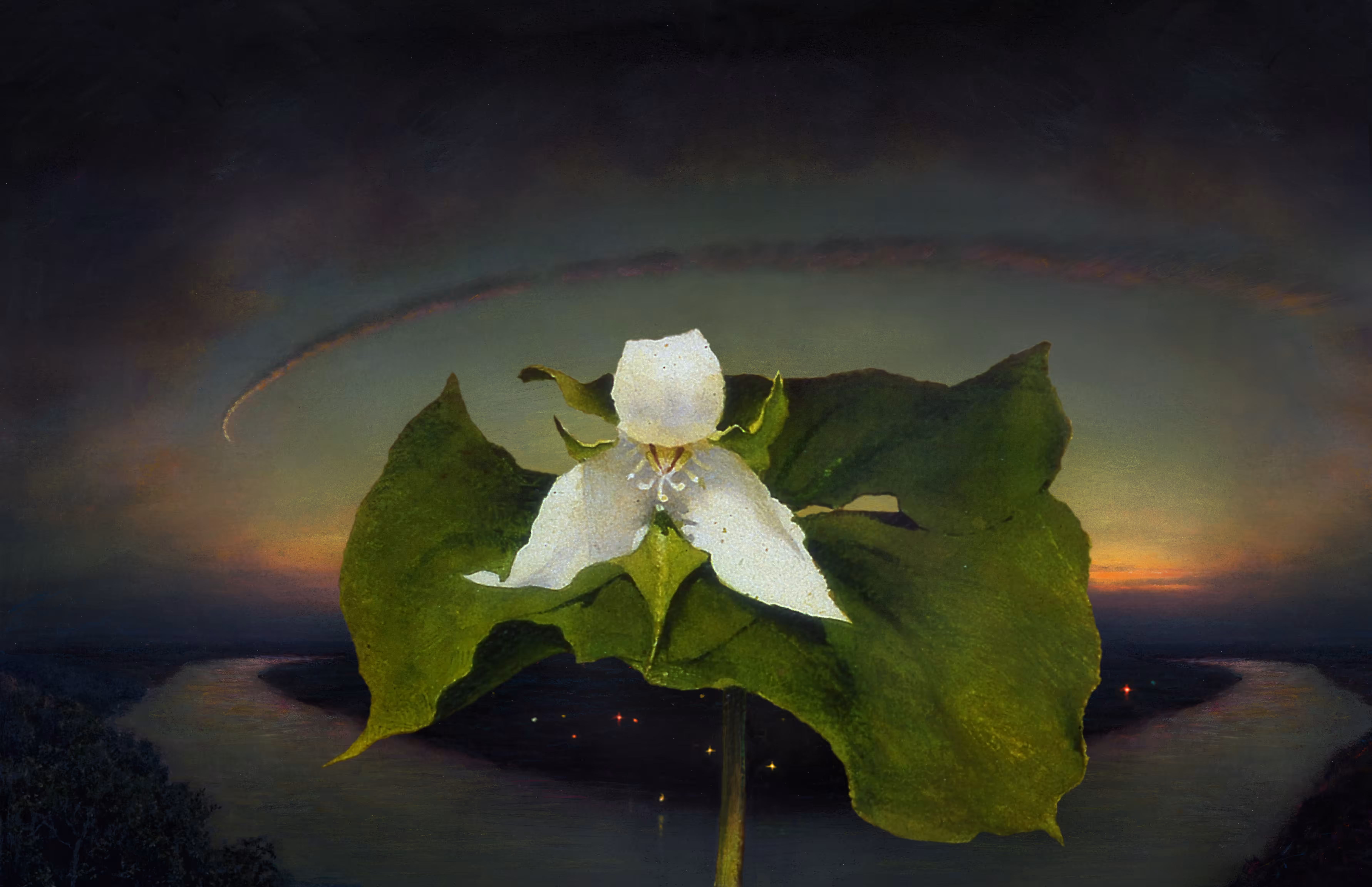Trillium