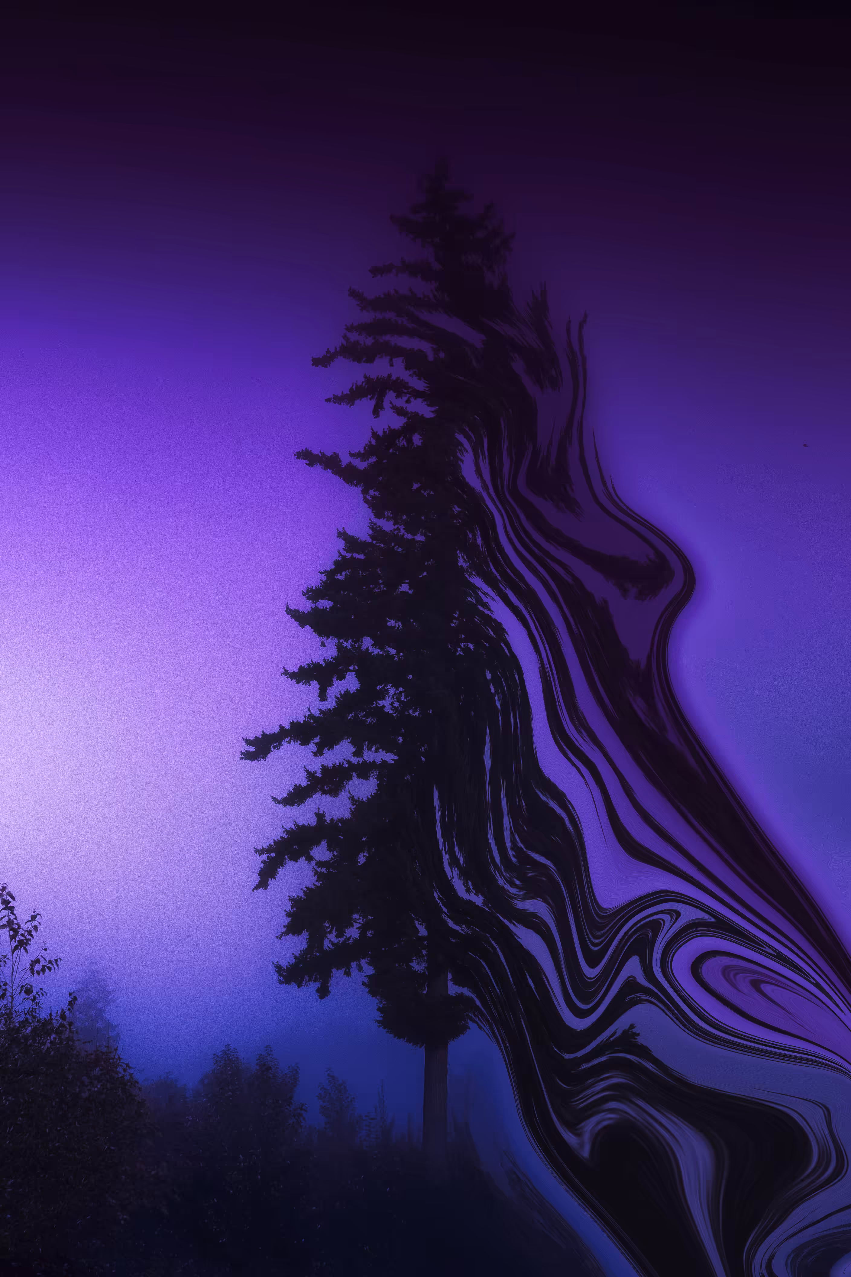 Forever Changing #01
