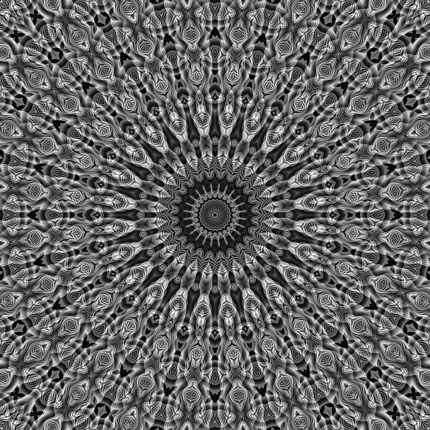 infinite orbital 81