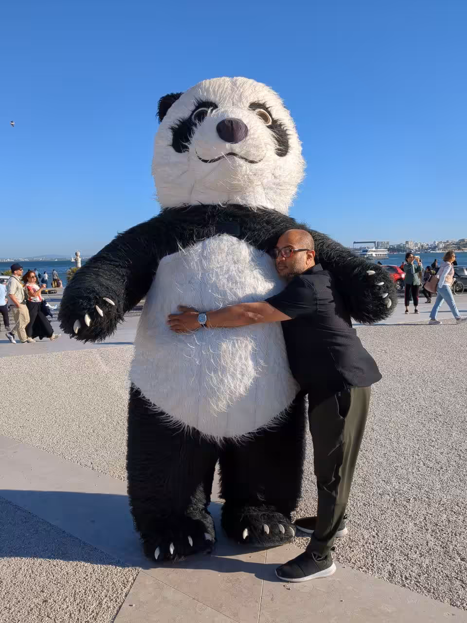 panda sauce 