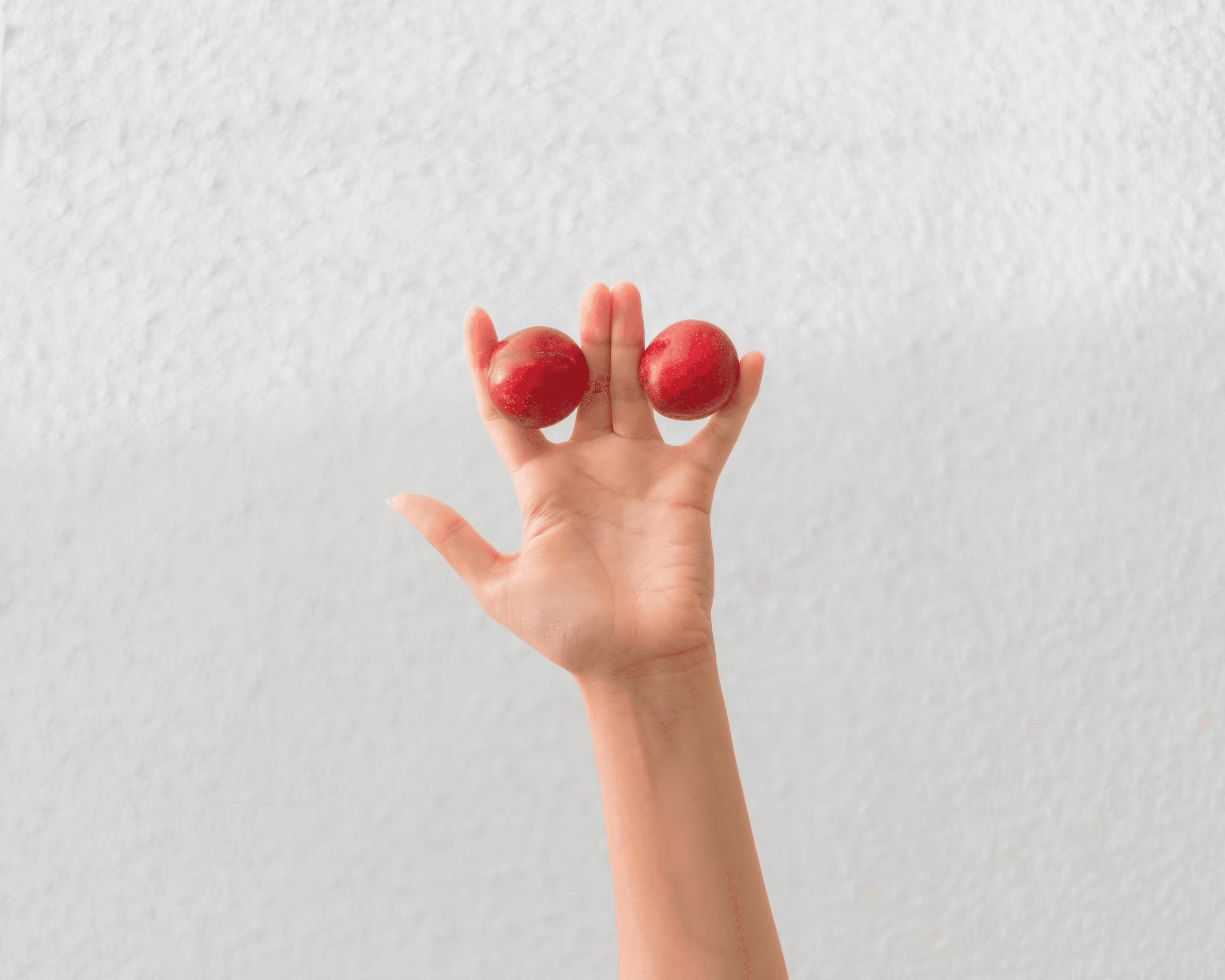 Hands Lingo 4.0