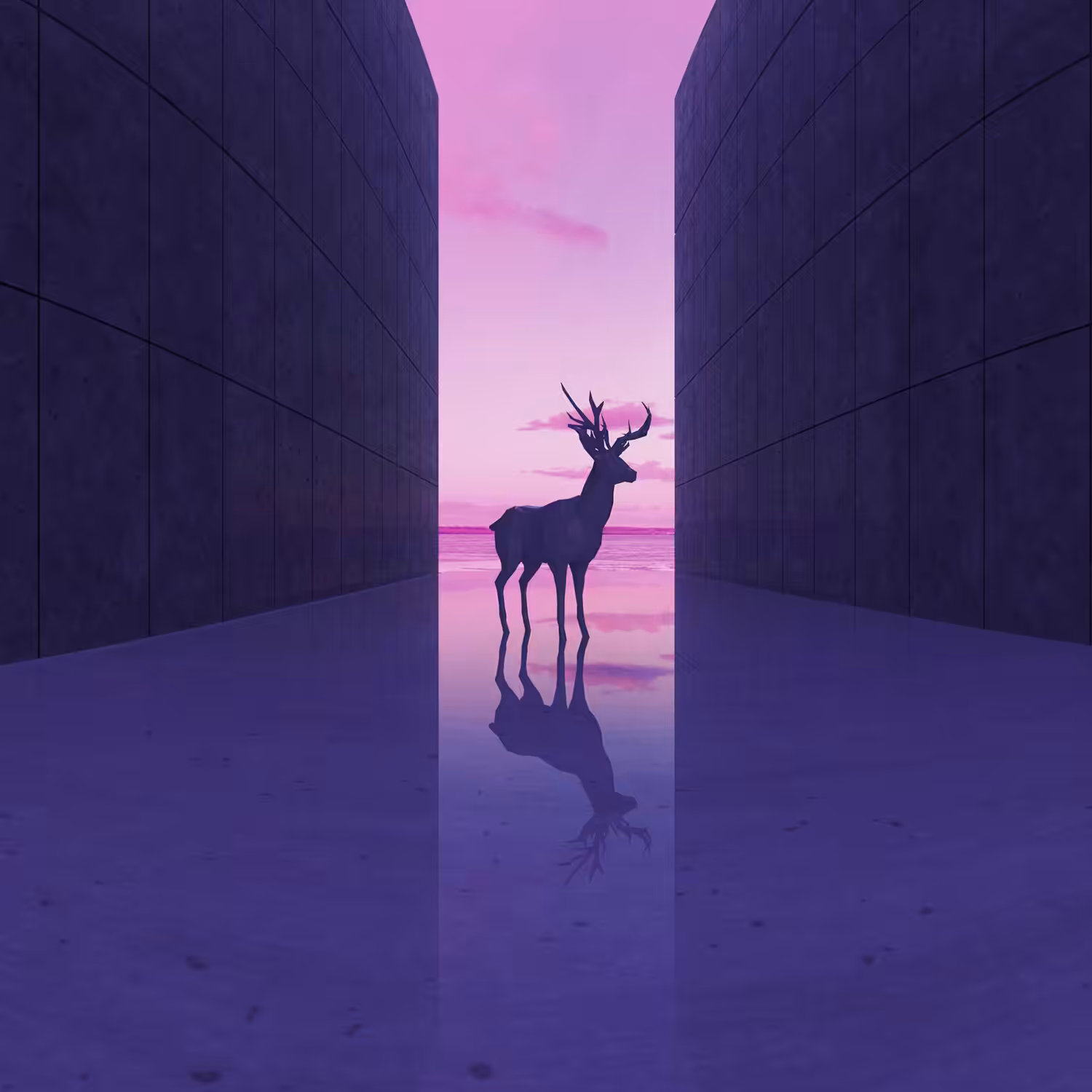 Urban Deer