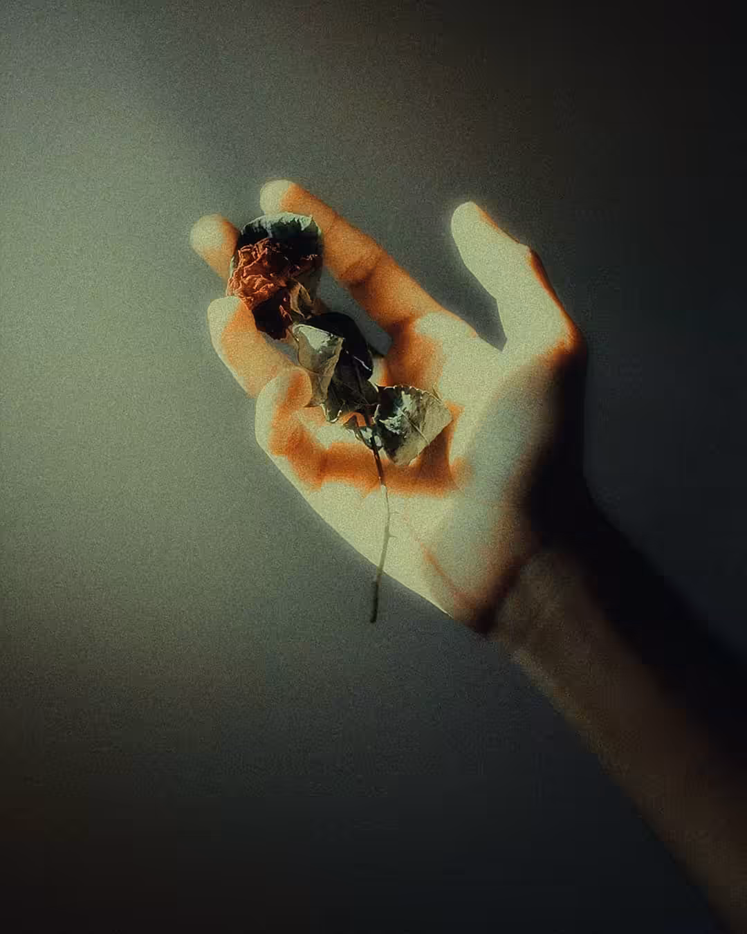 Love Hurts
