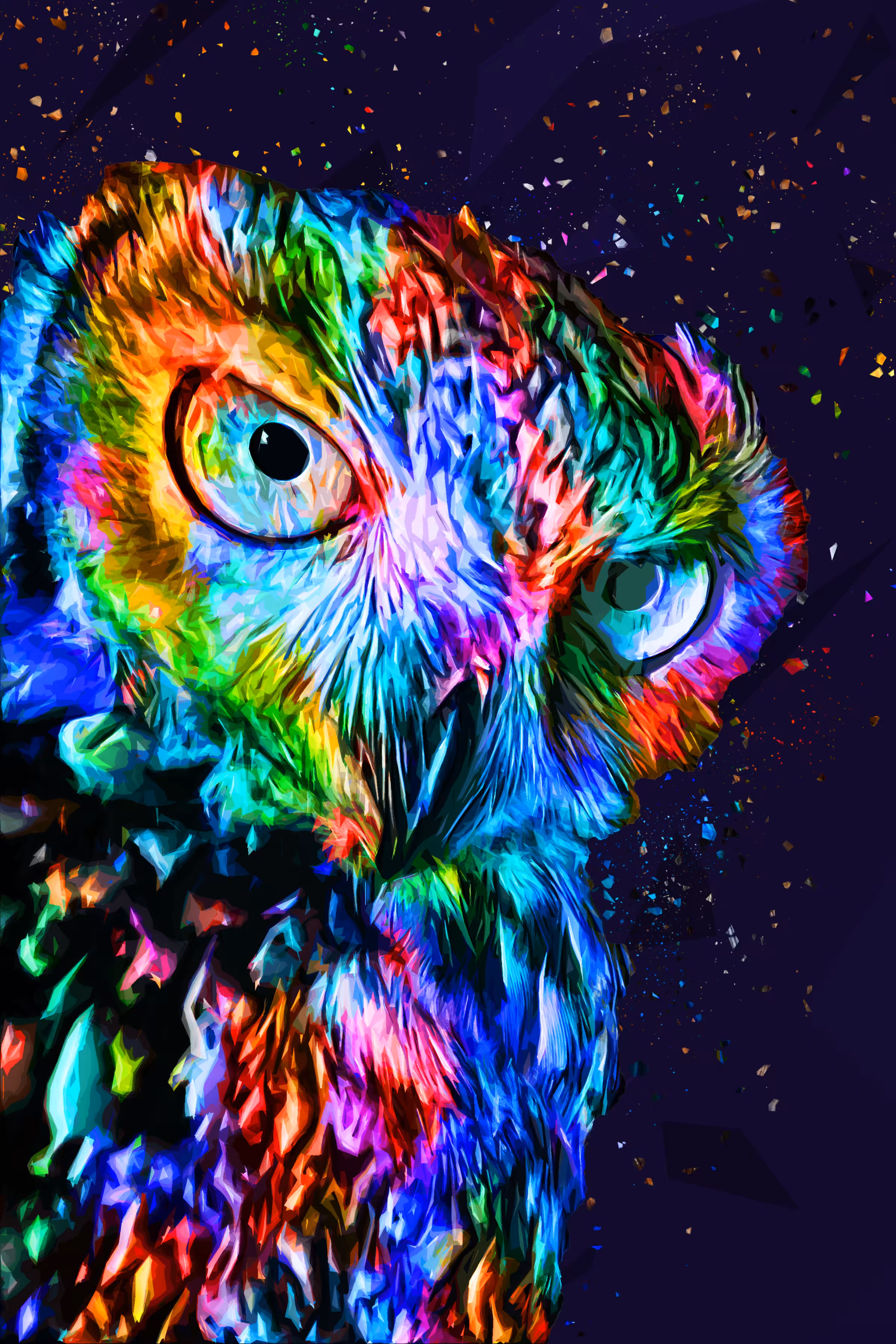 Owl