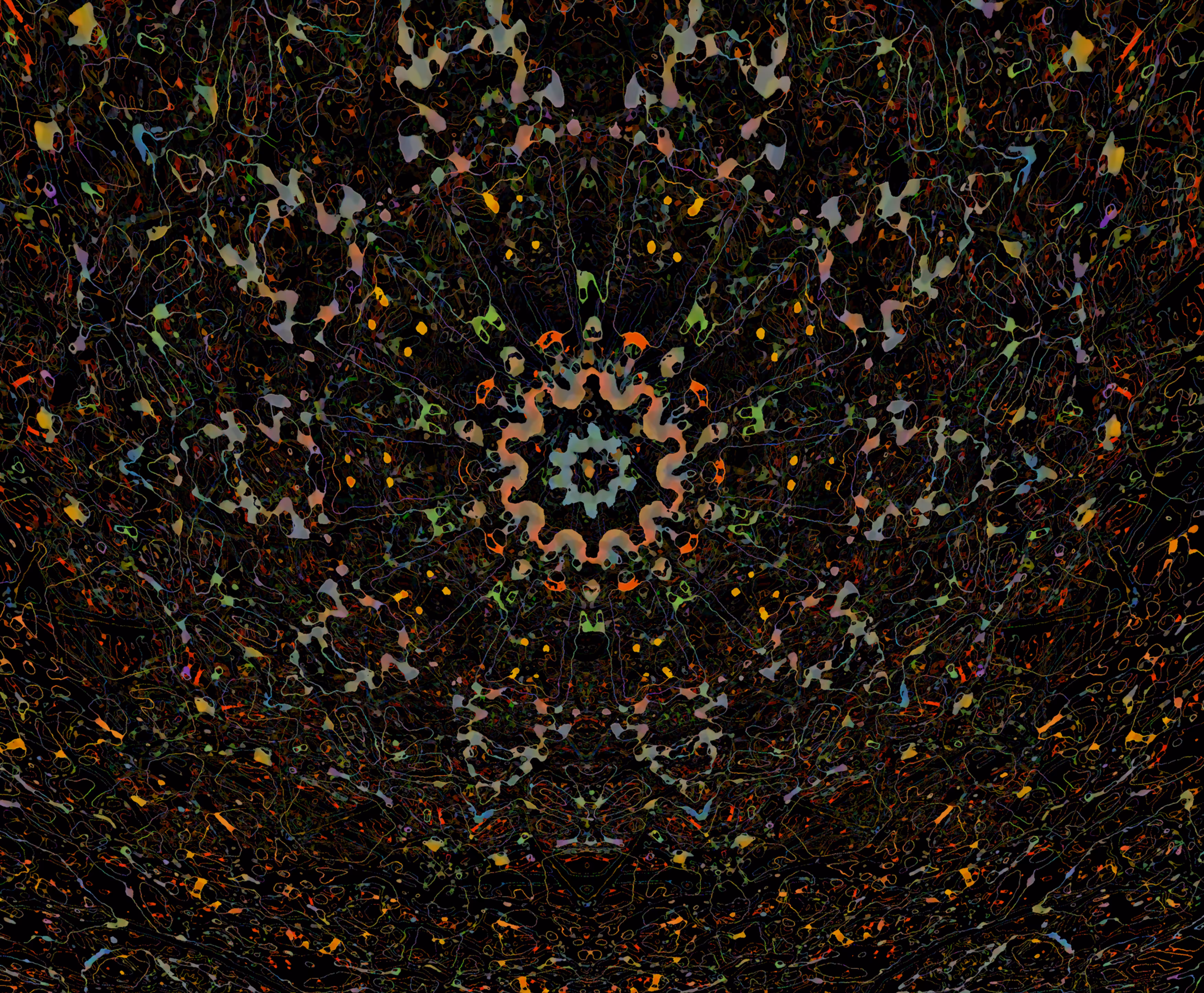 Carnival