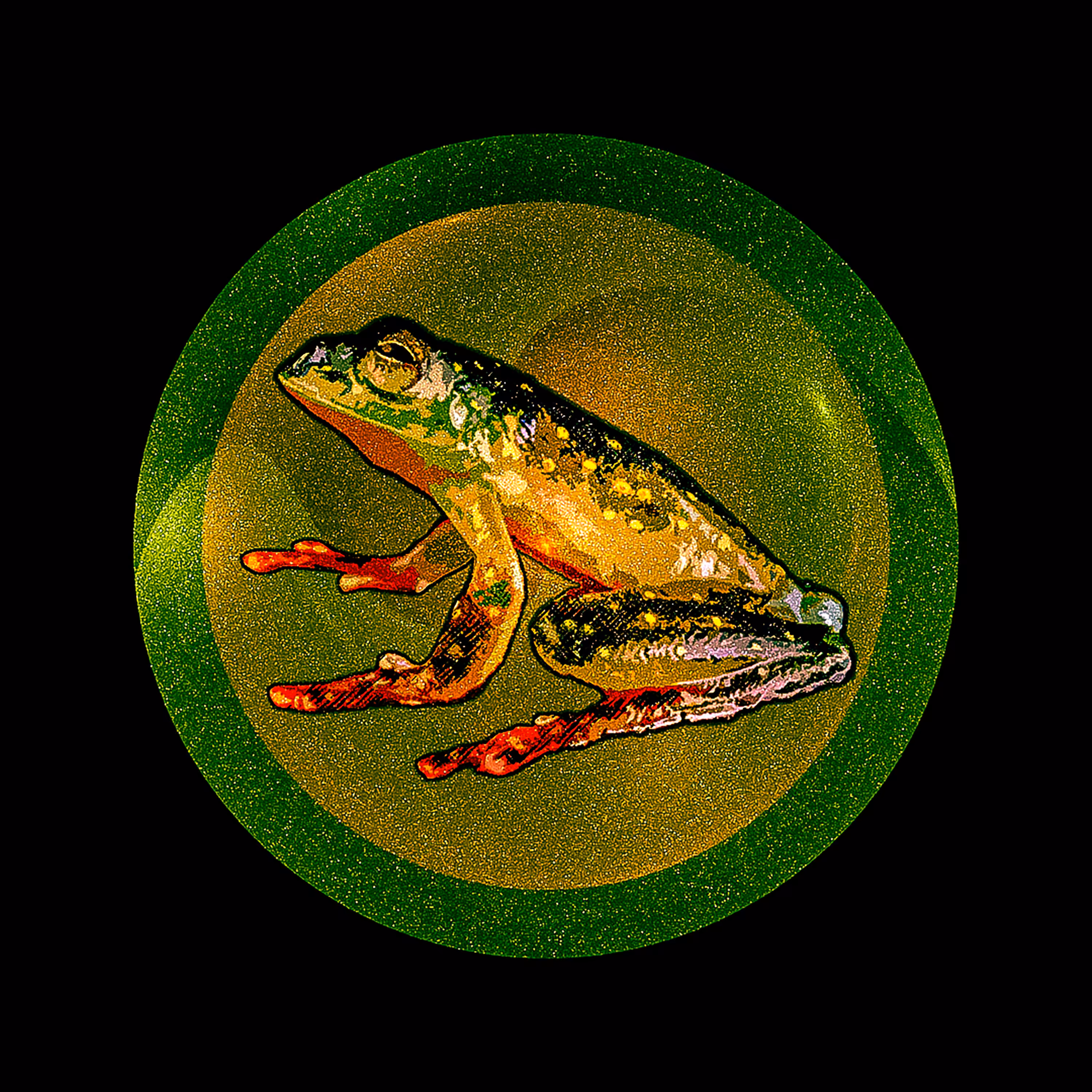 Heqet Frogs, Helpers of Goddess Heqet 