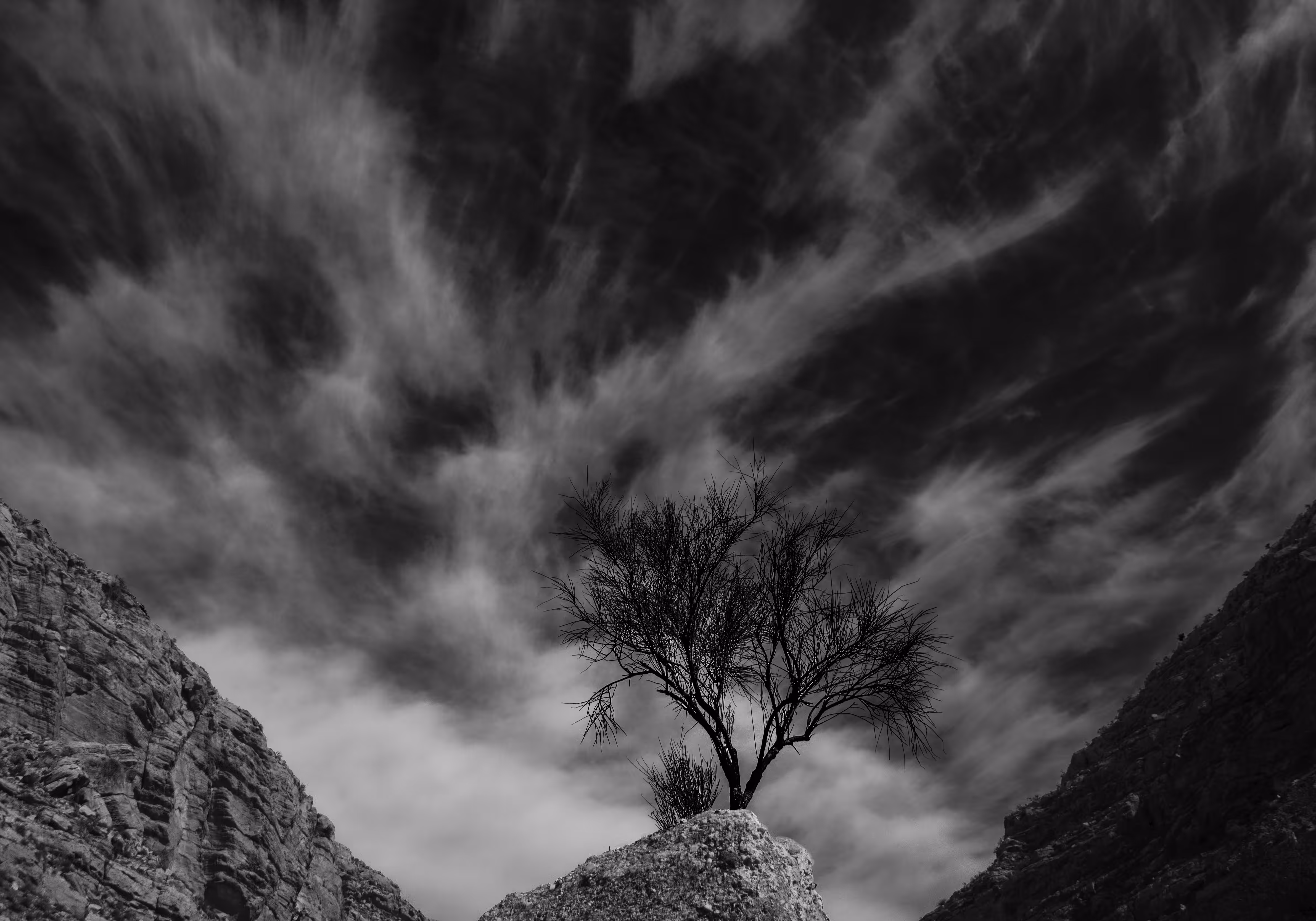 Glorious loneliness