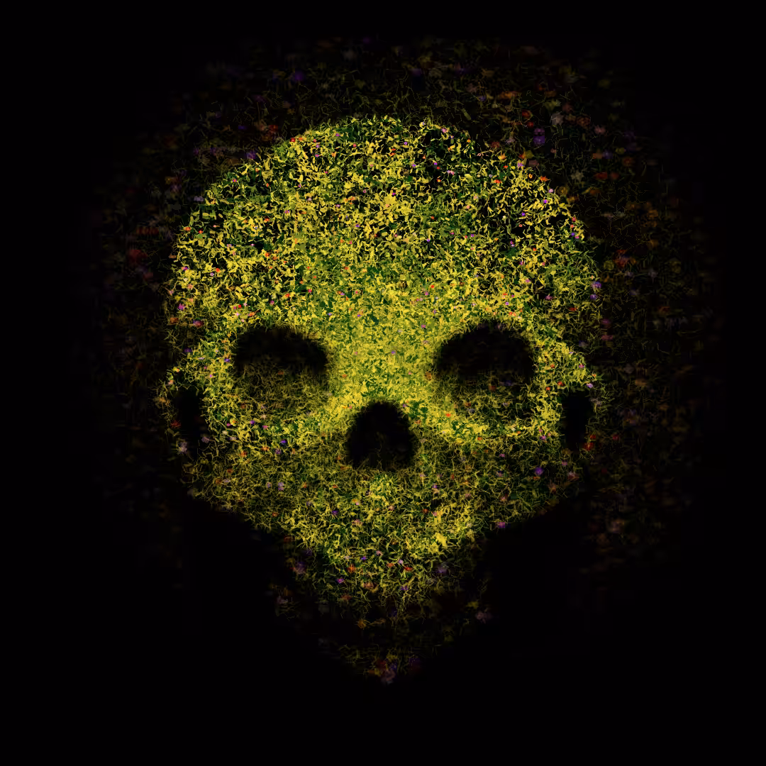 Skull #27