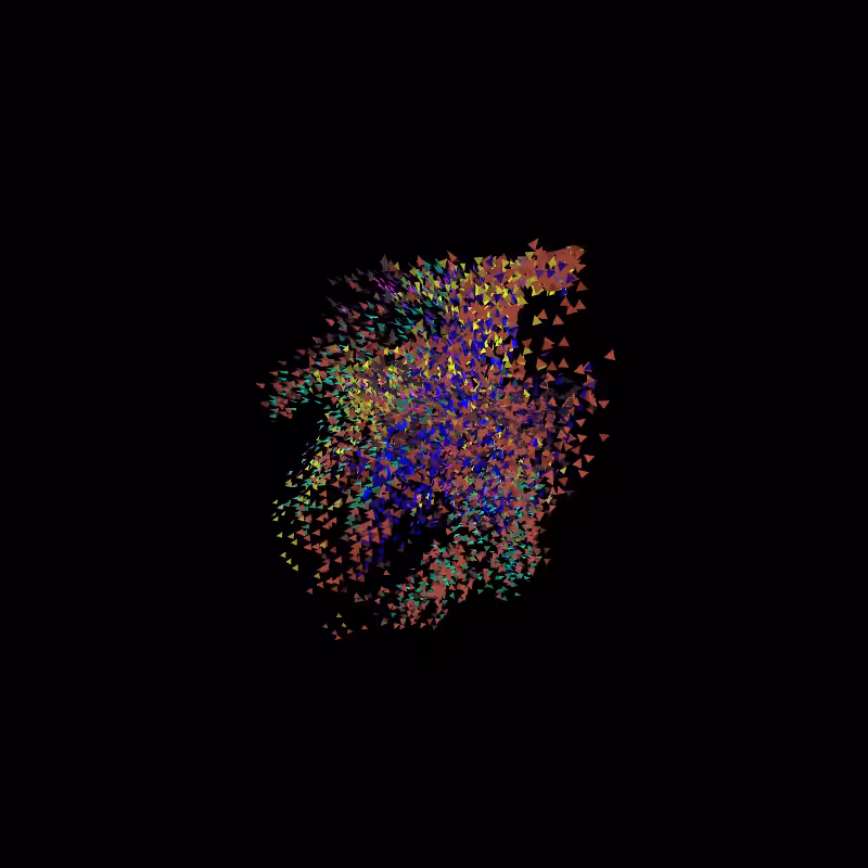 Murmuration #20