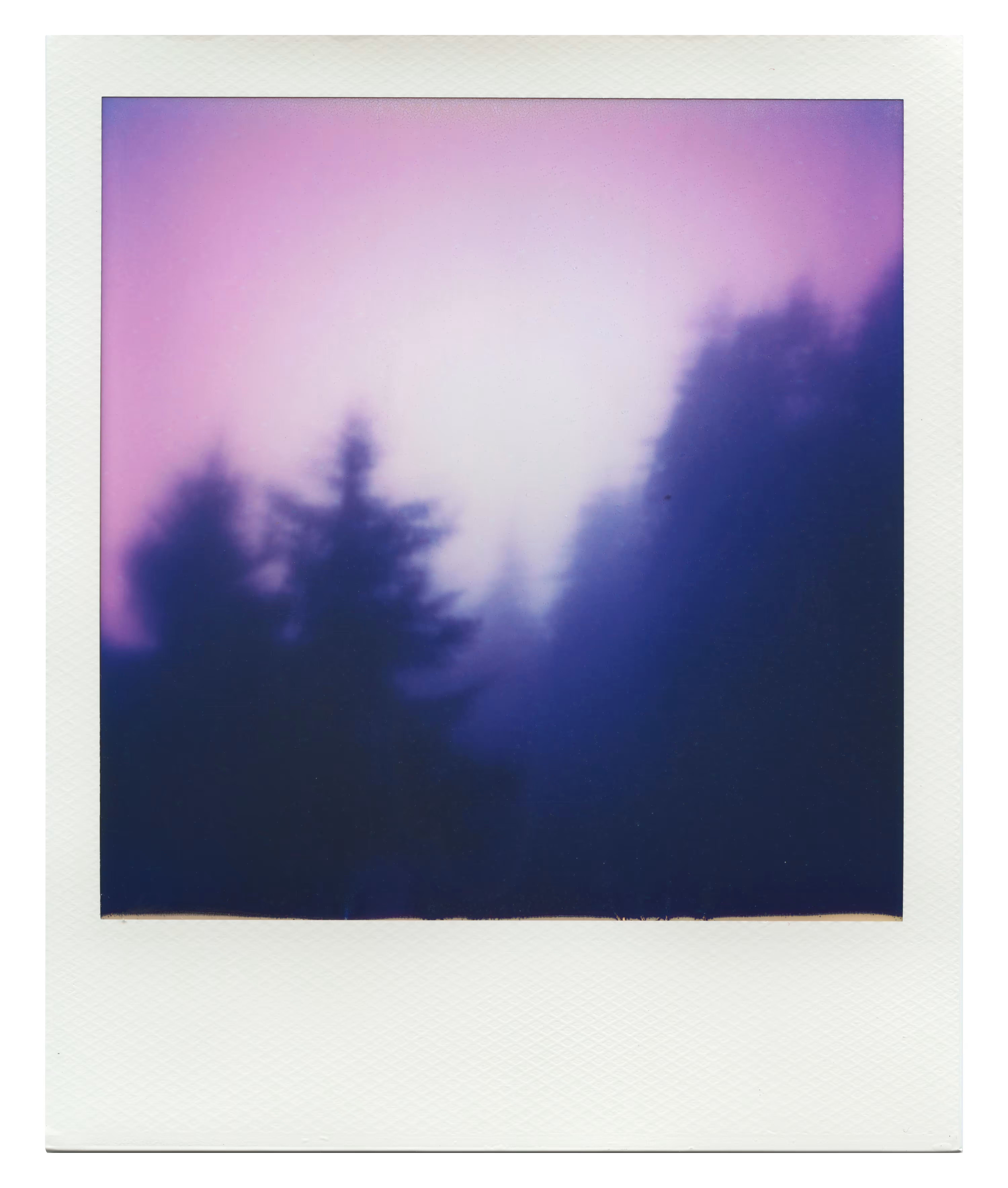 Endless Summer  |  18  | Manifestation