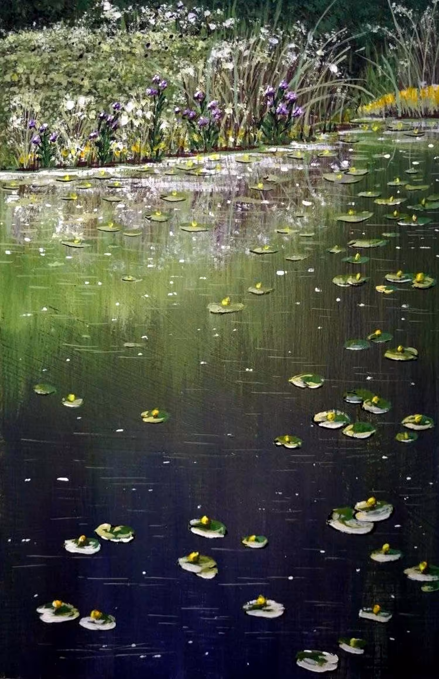 Lilies on the river