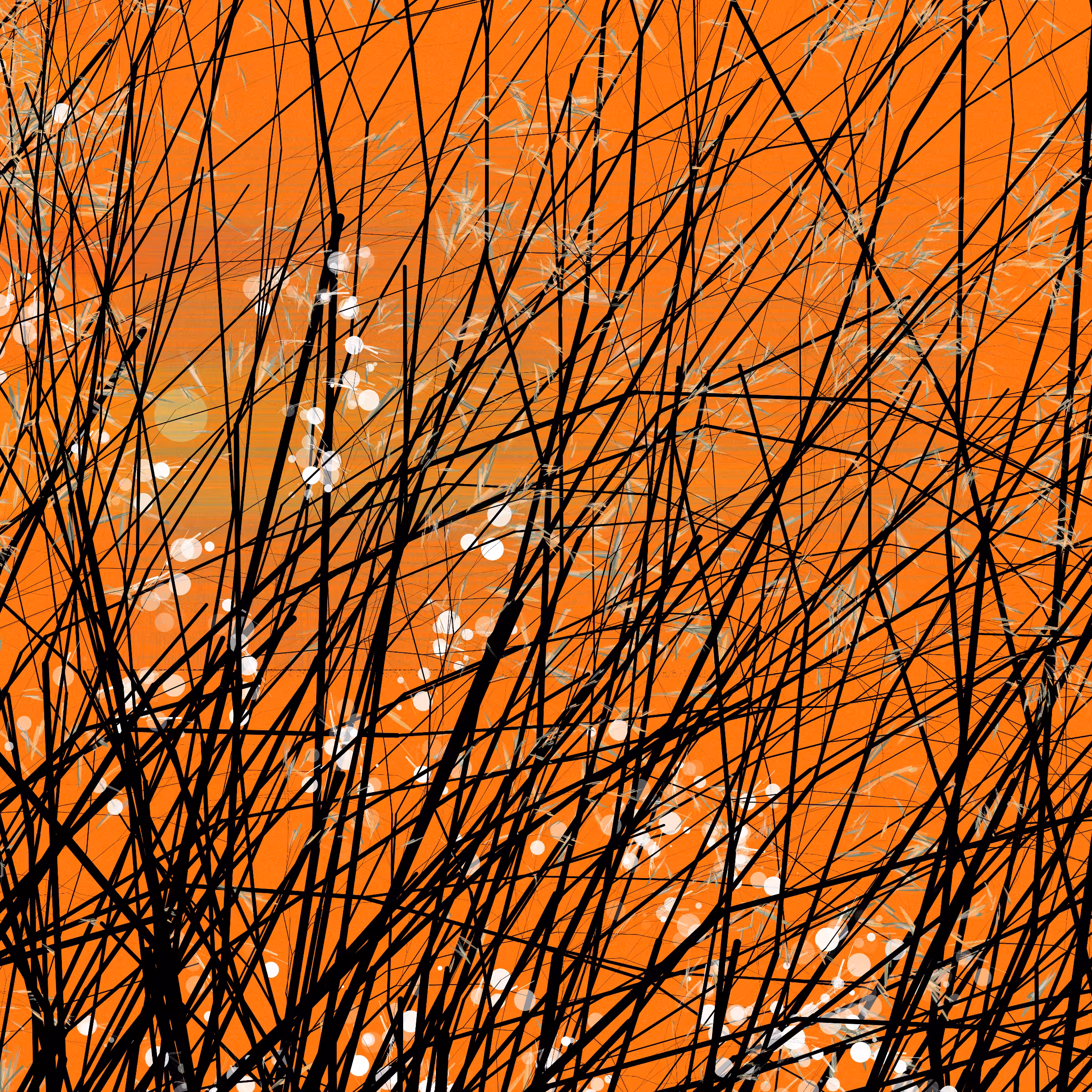 conversation with the wind #758