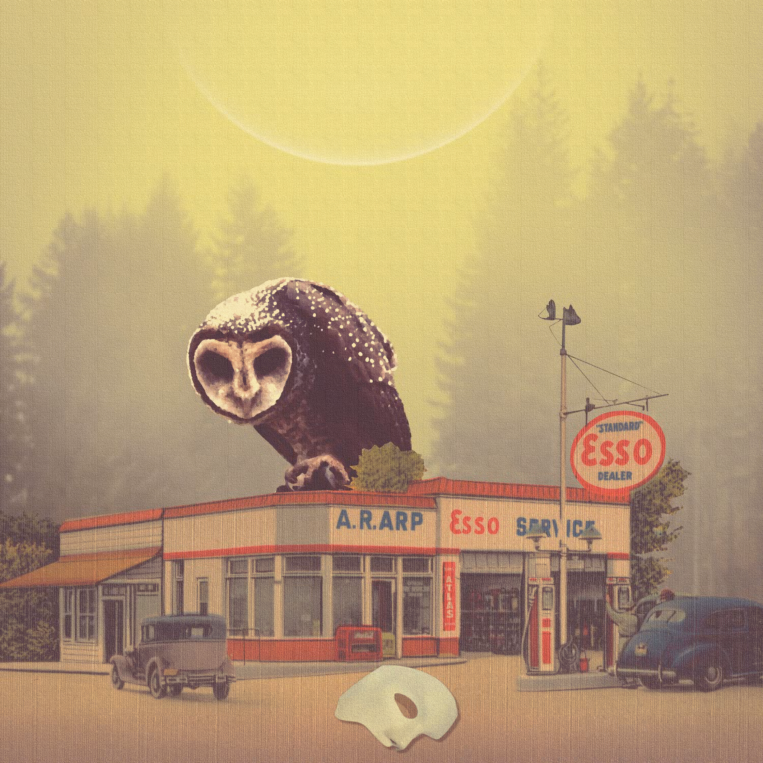 Owl Mask