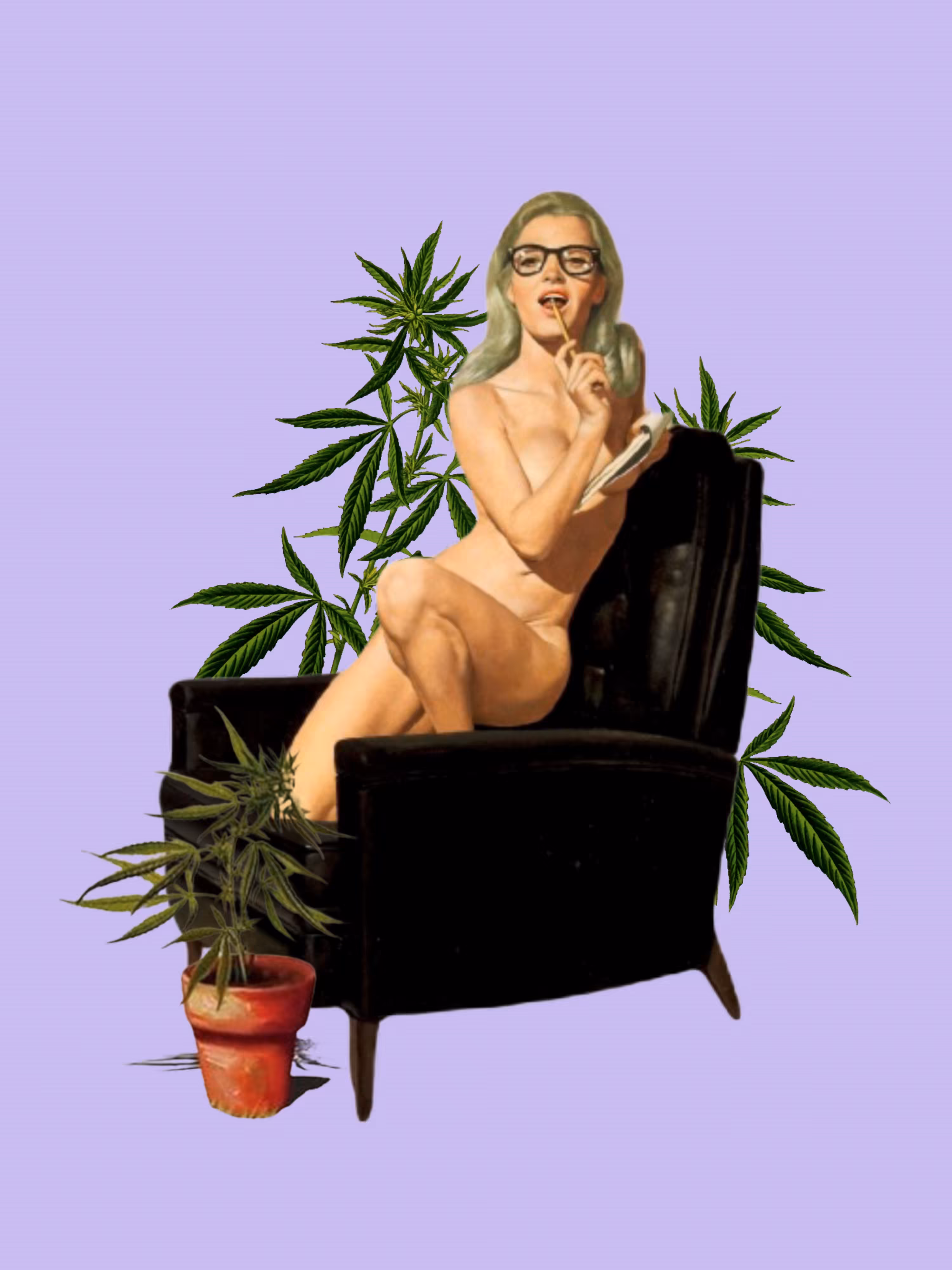 Purple Indica 