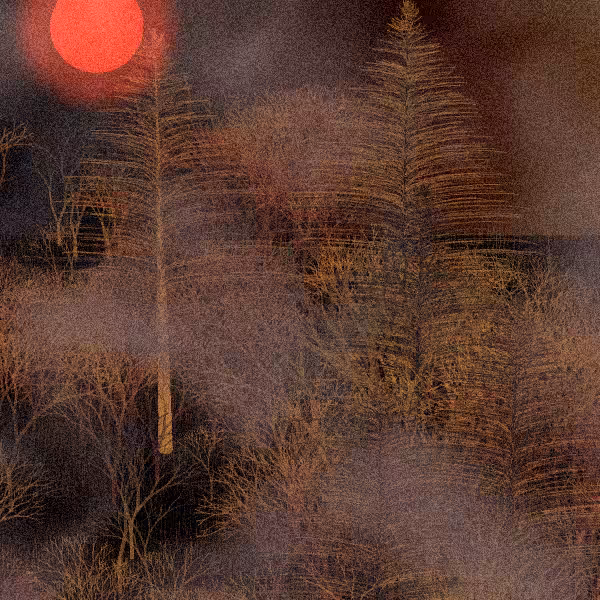 Moonlit Native Bush #130
