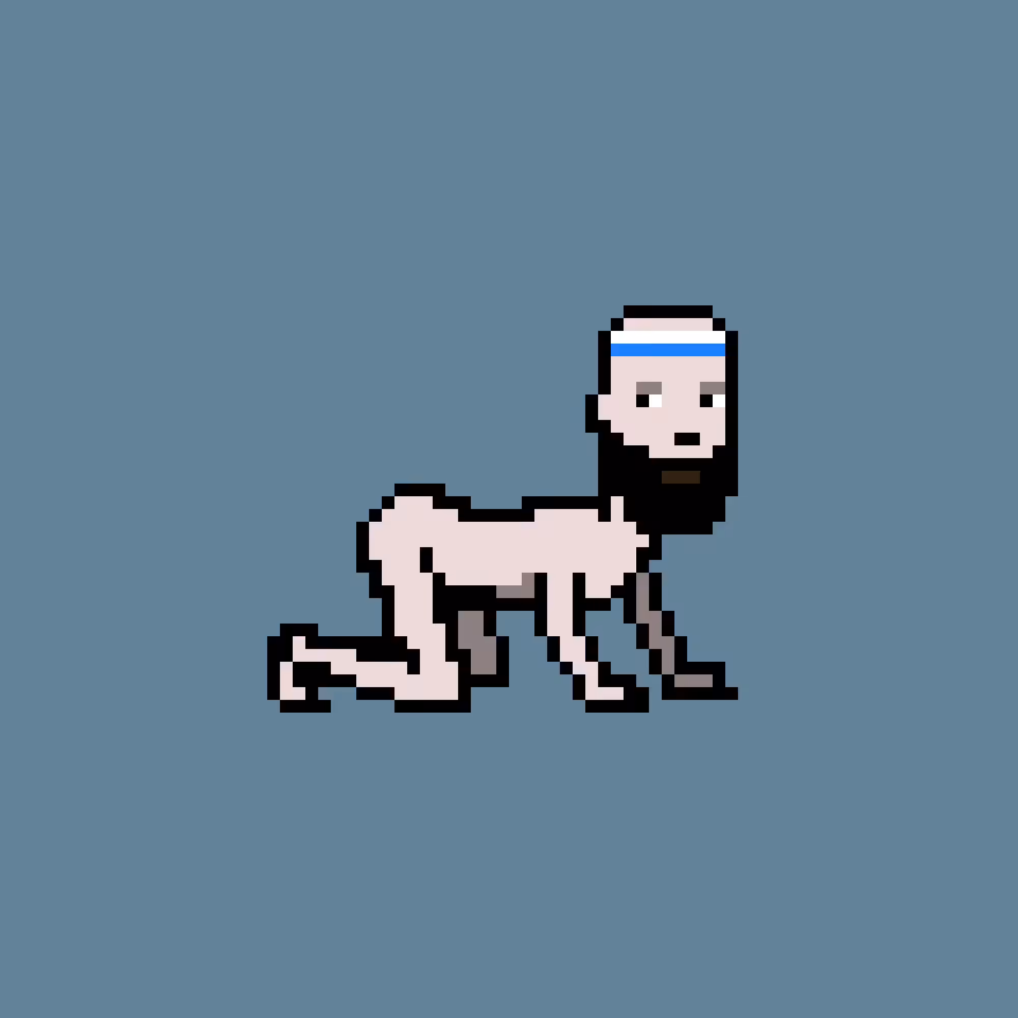 CrawlingPunk #1342