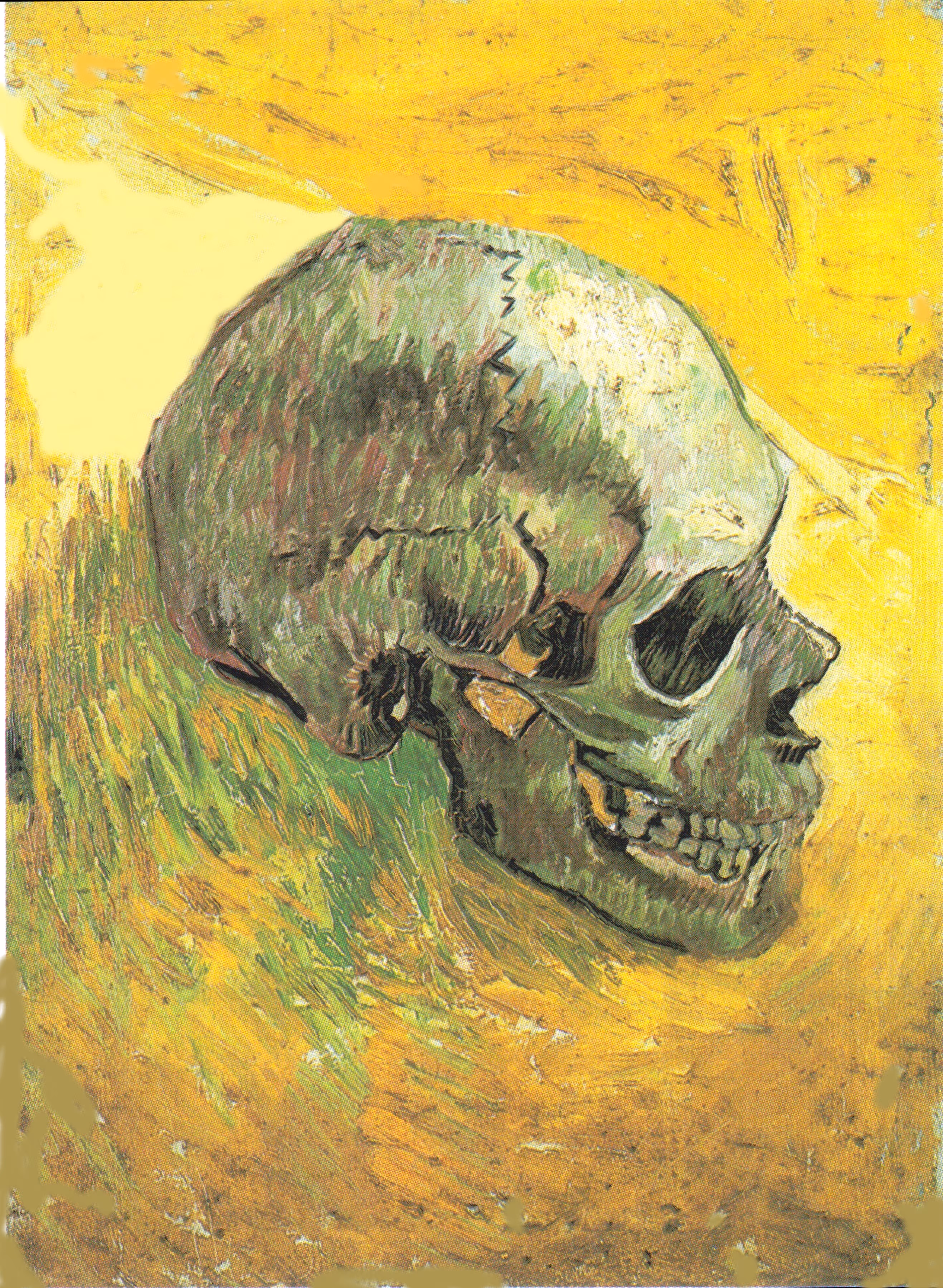 Museum NFT Vincent VanGogh Skull Museum Modern Art .com Limited Edition 100 Copies