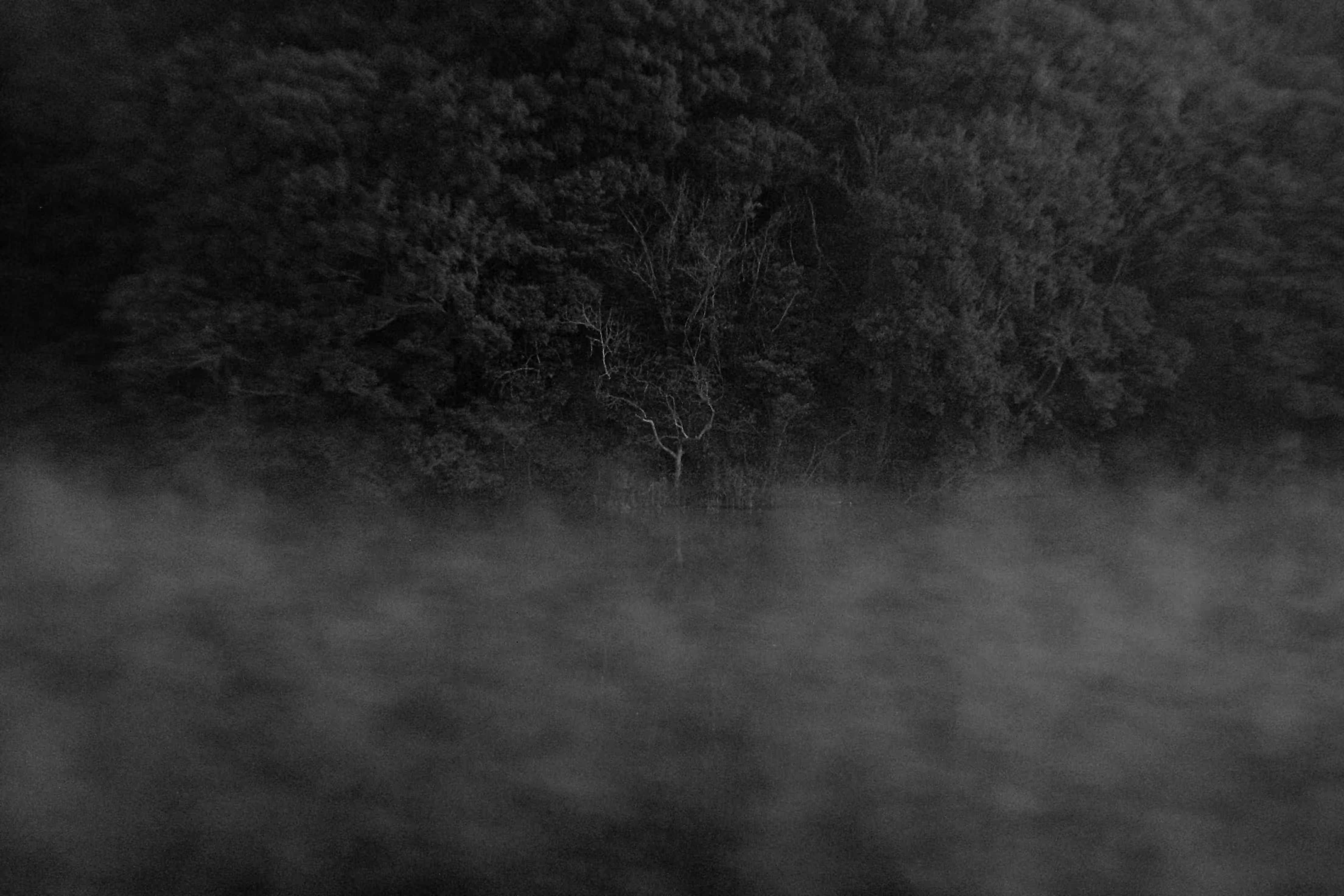 Heaven Series: The World of Film - Beautiful World