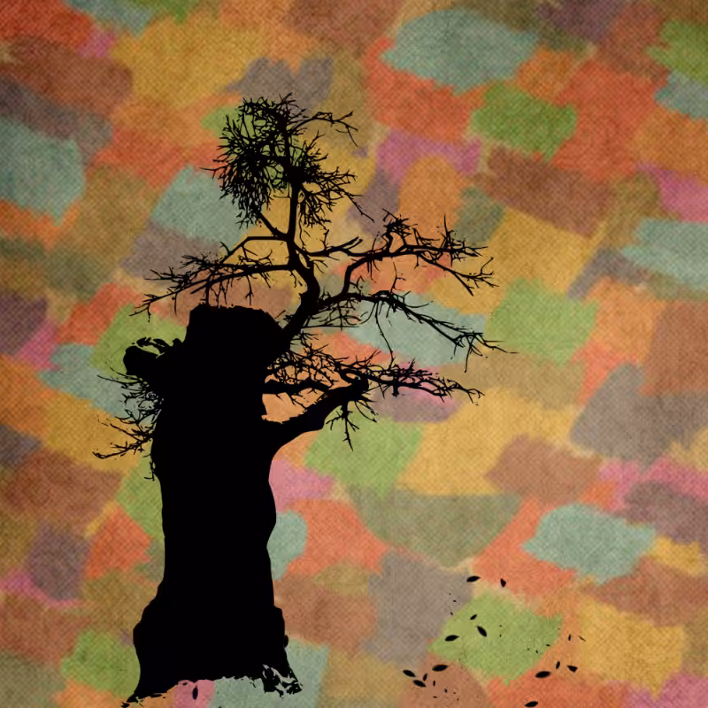 Autumn #8