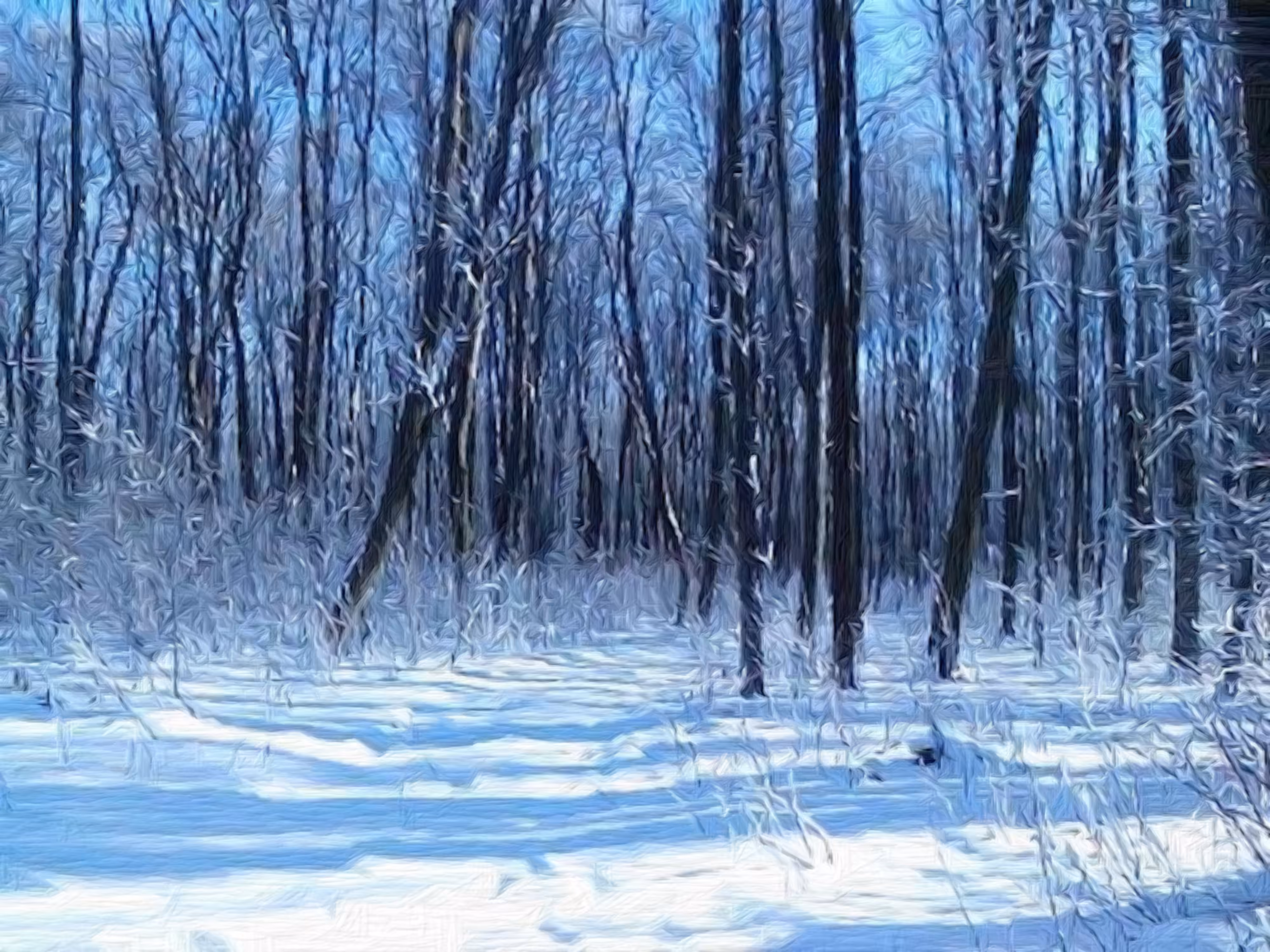 Winter and Ukraine in Monochrome