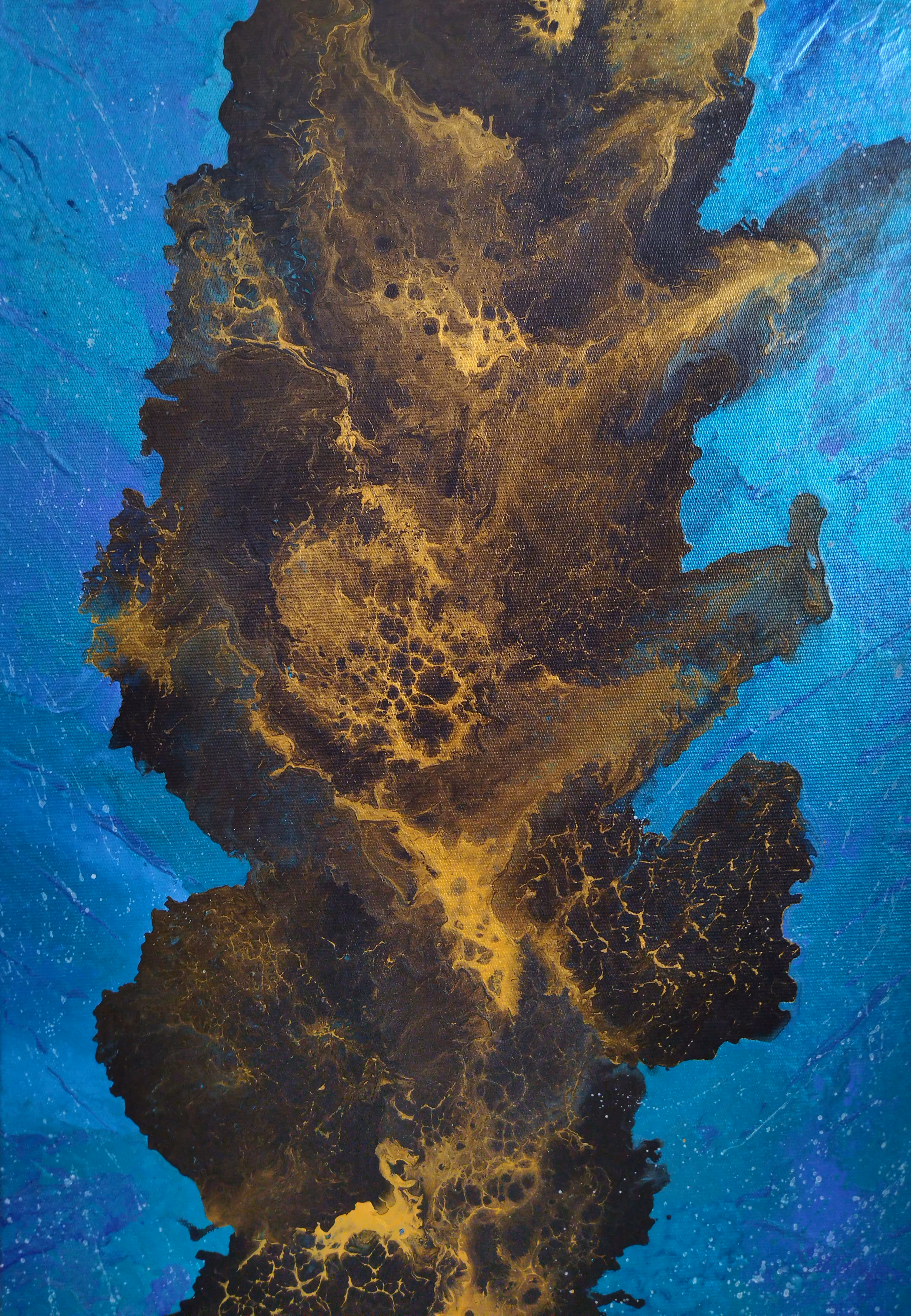 Coral 💙