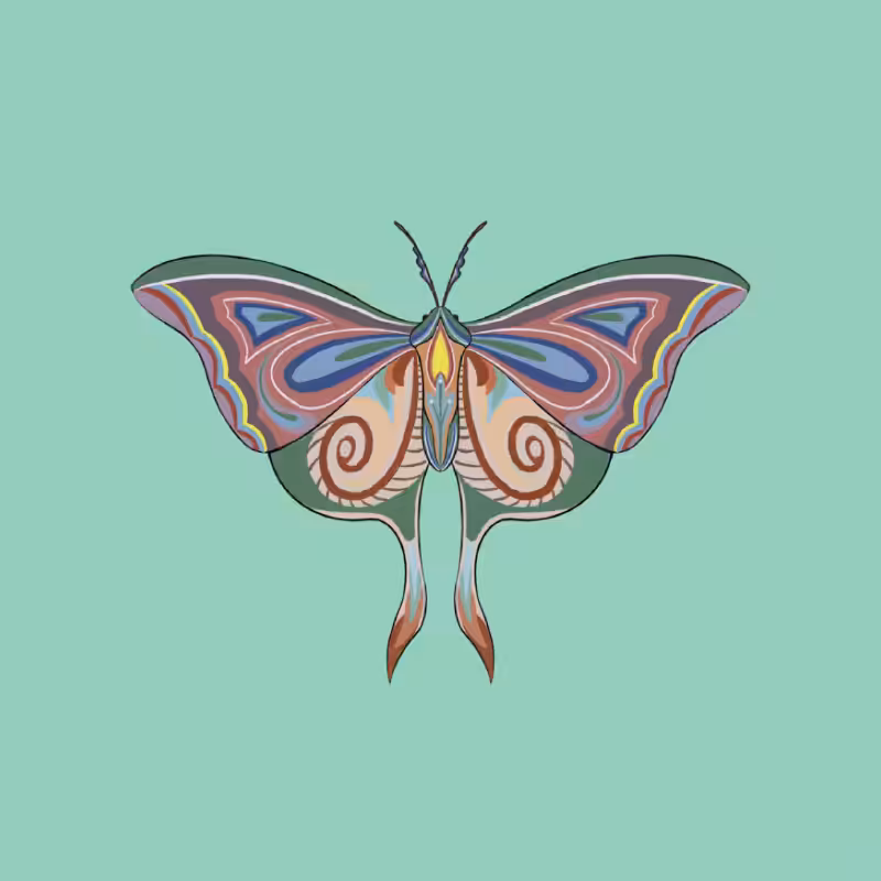 The Moth Experiment 2.0 P1 #10