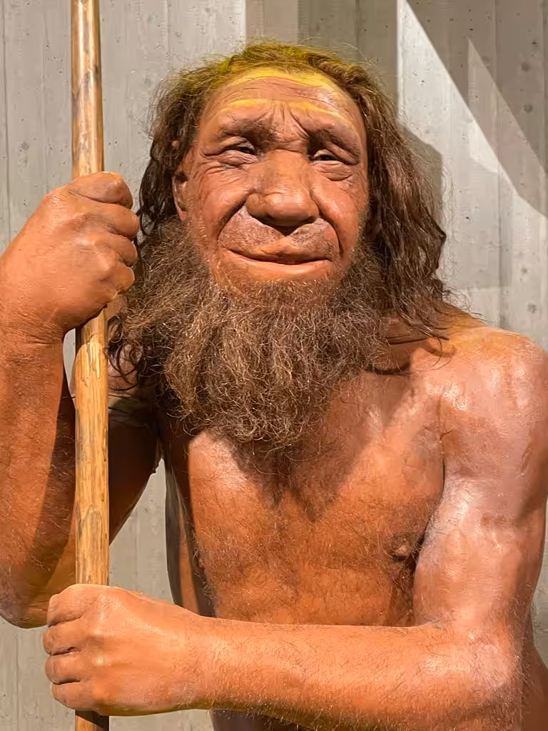 Neandertaler 2.0
