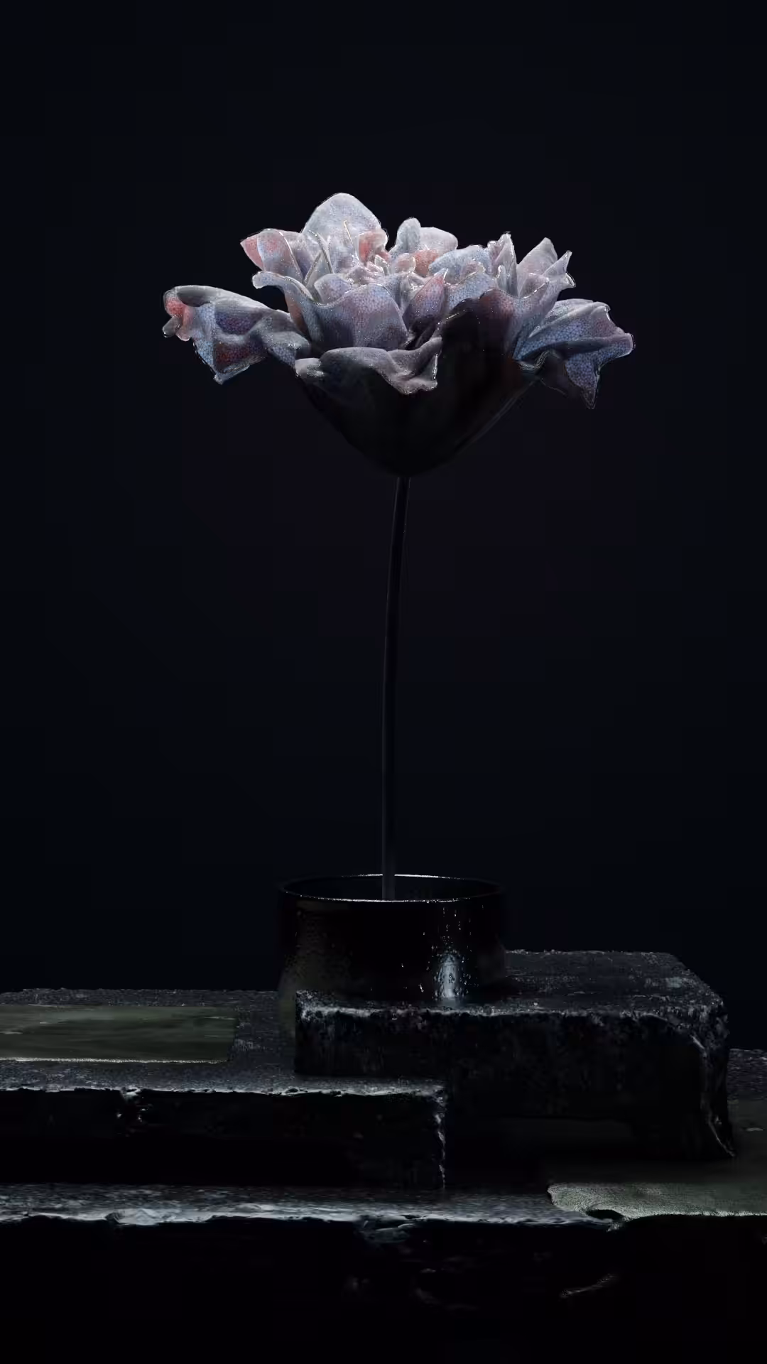 - B L O O M -