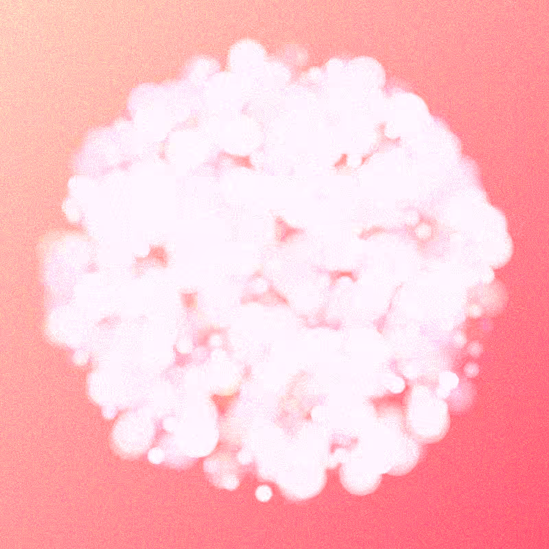 Furbol #227