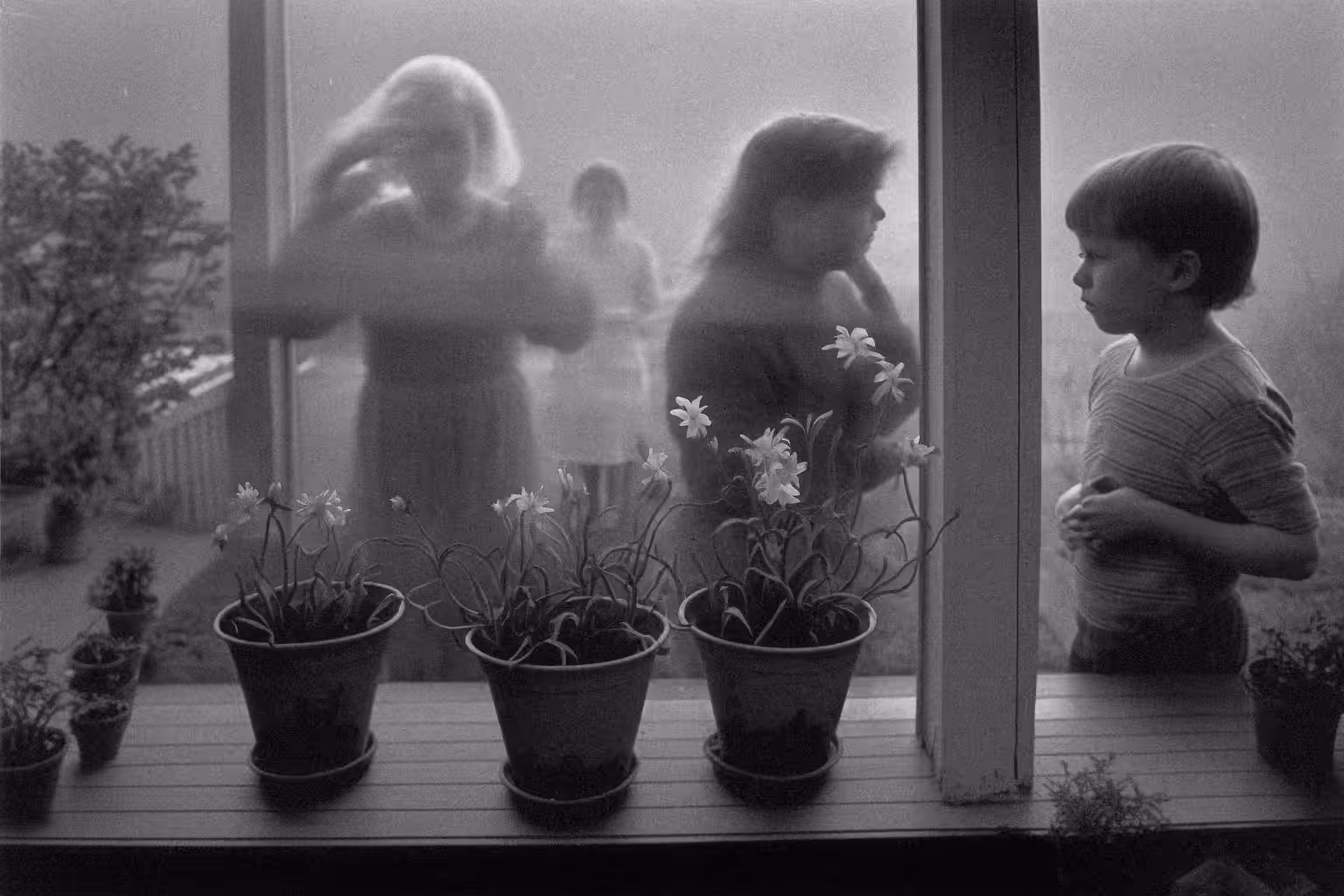 Daffodil, Archival Pigment Print, 1995