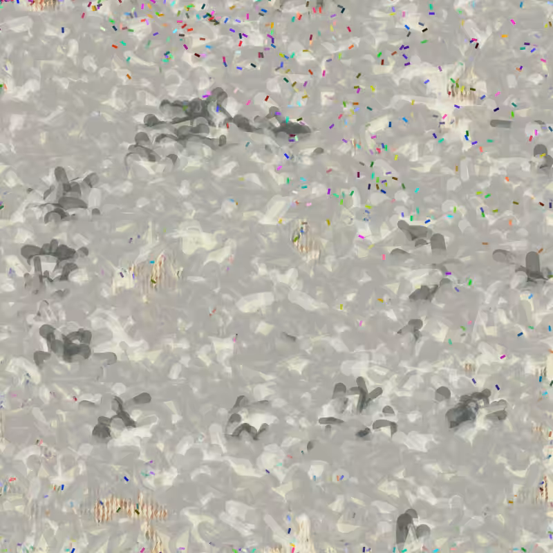 Petri 1500 #1346