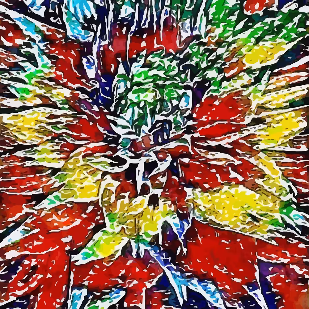 Blooming Primaries