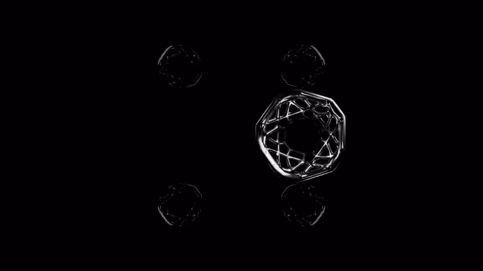 Web of Life 3