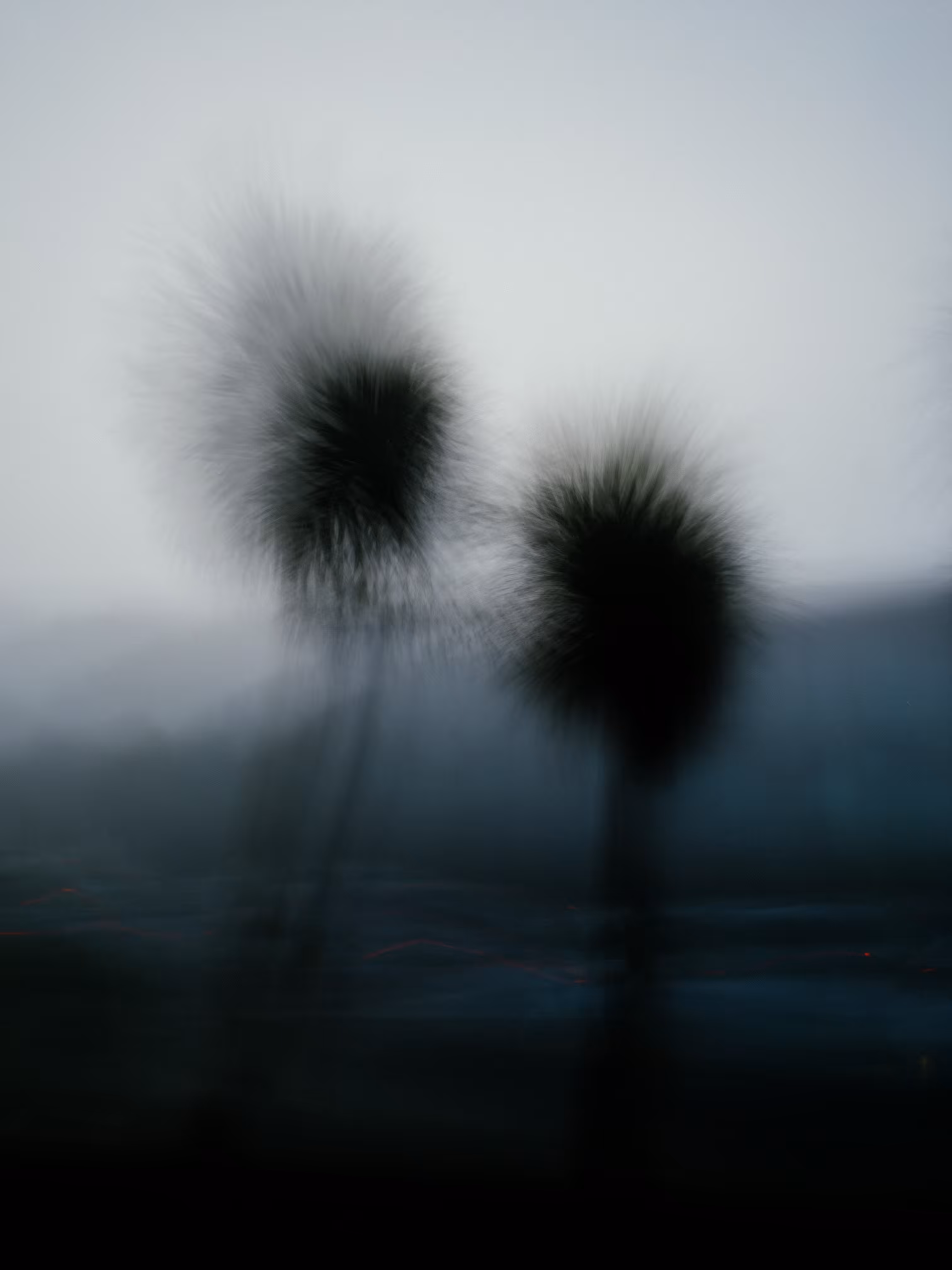 From Fog
