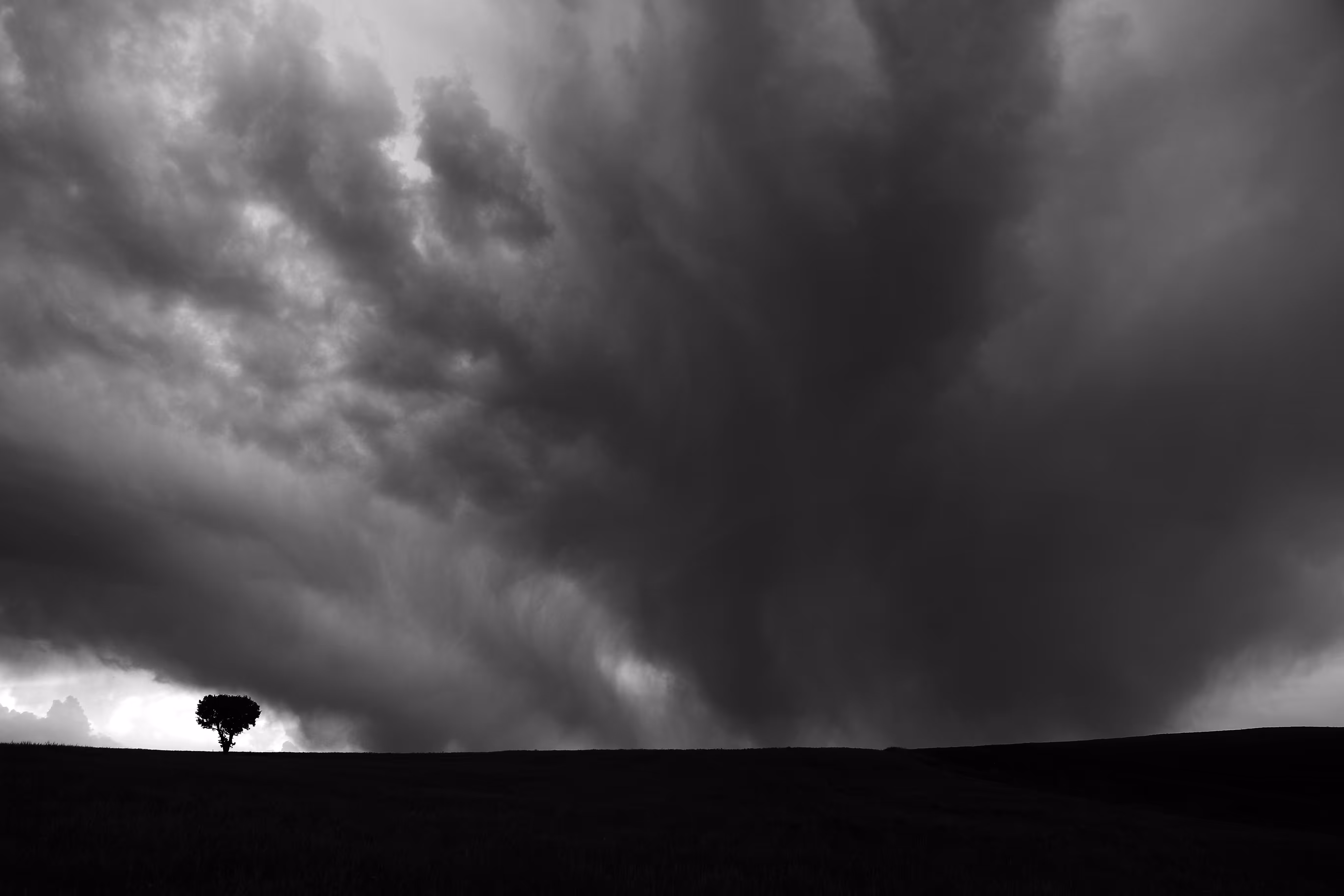 Alone in the storm