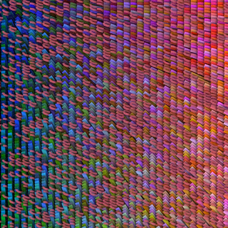 Scales #6