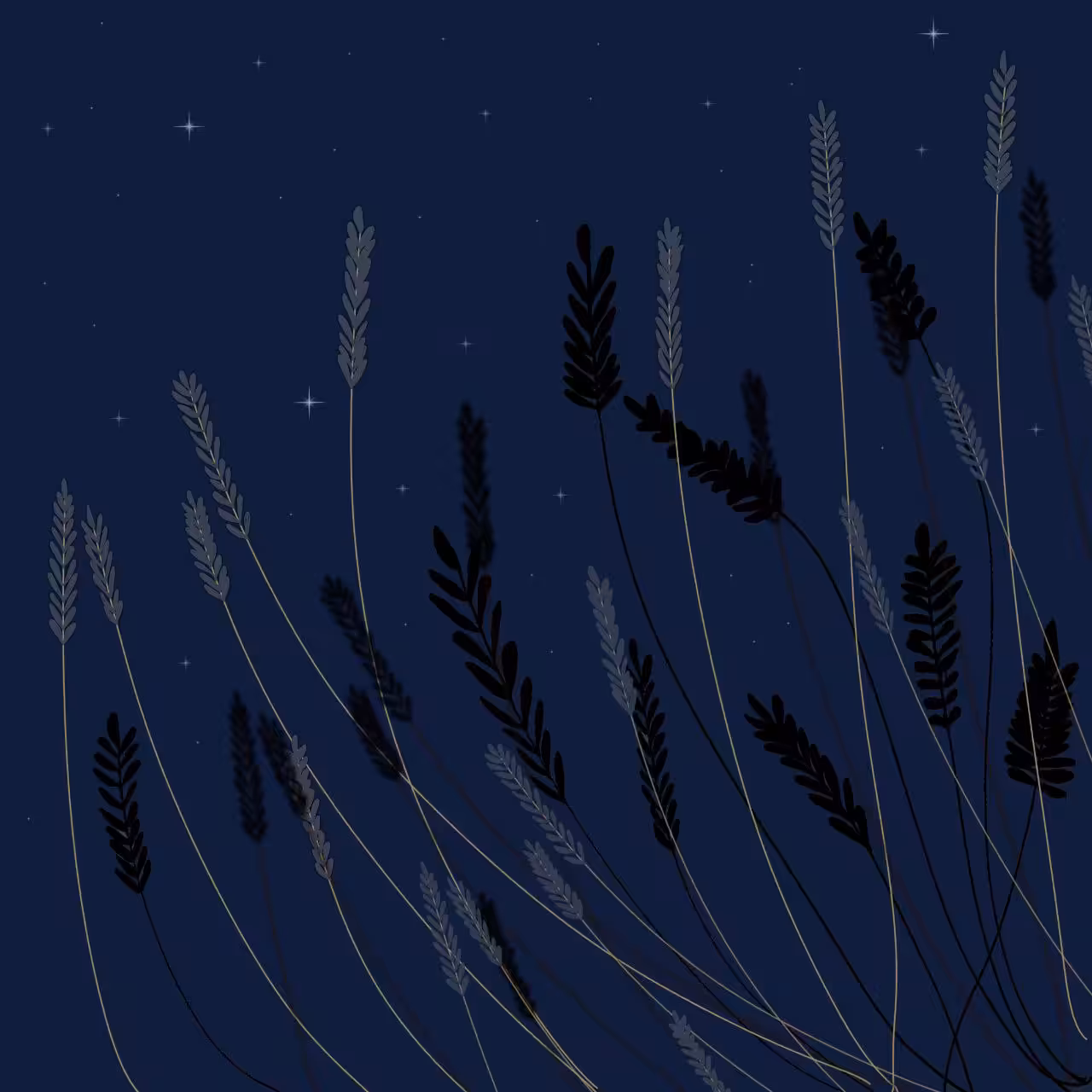 Night lavender