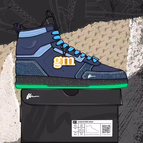 Signature Sneakers Highs #769