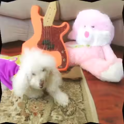 P Bass Pals