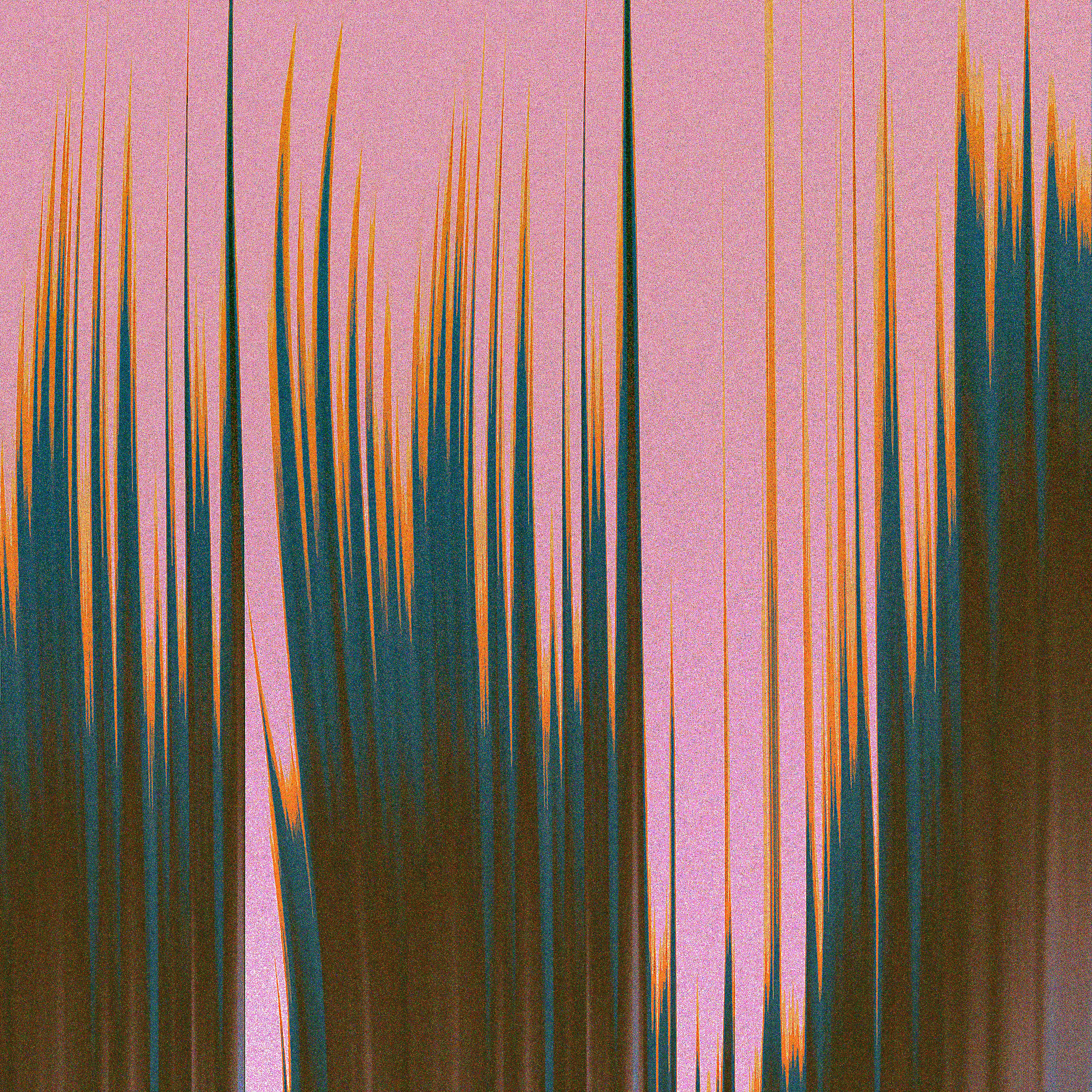 Wildflowers XII
