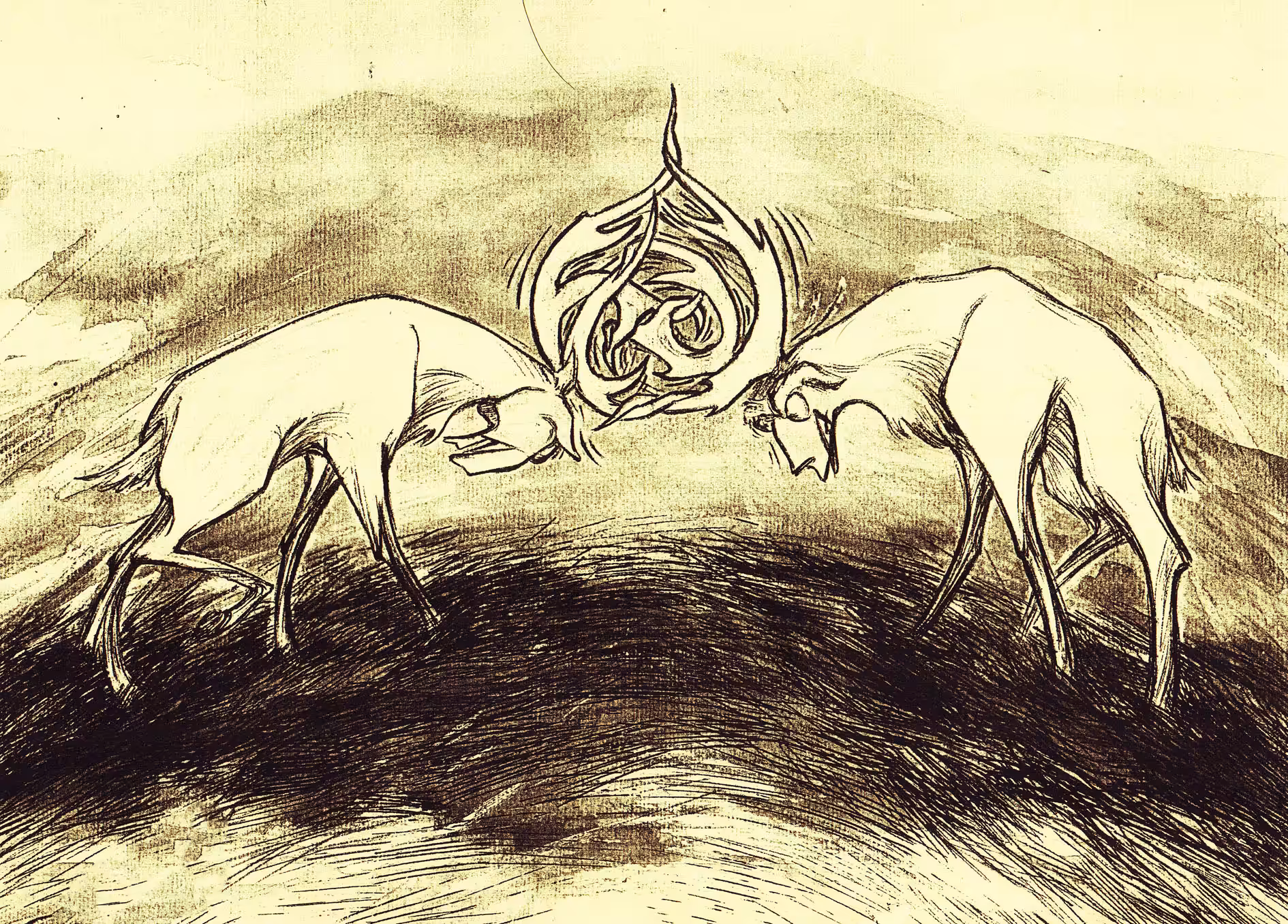 Battle