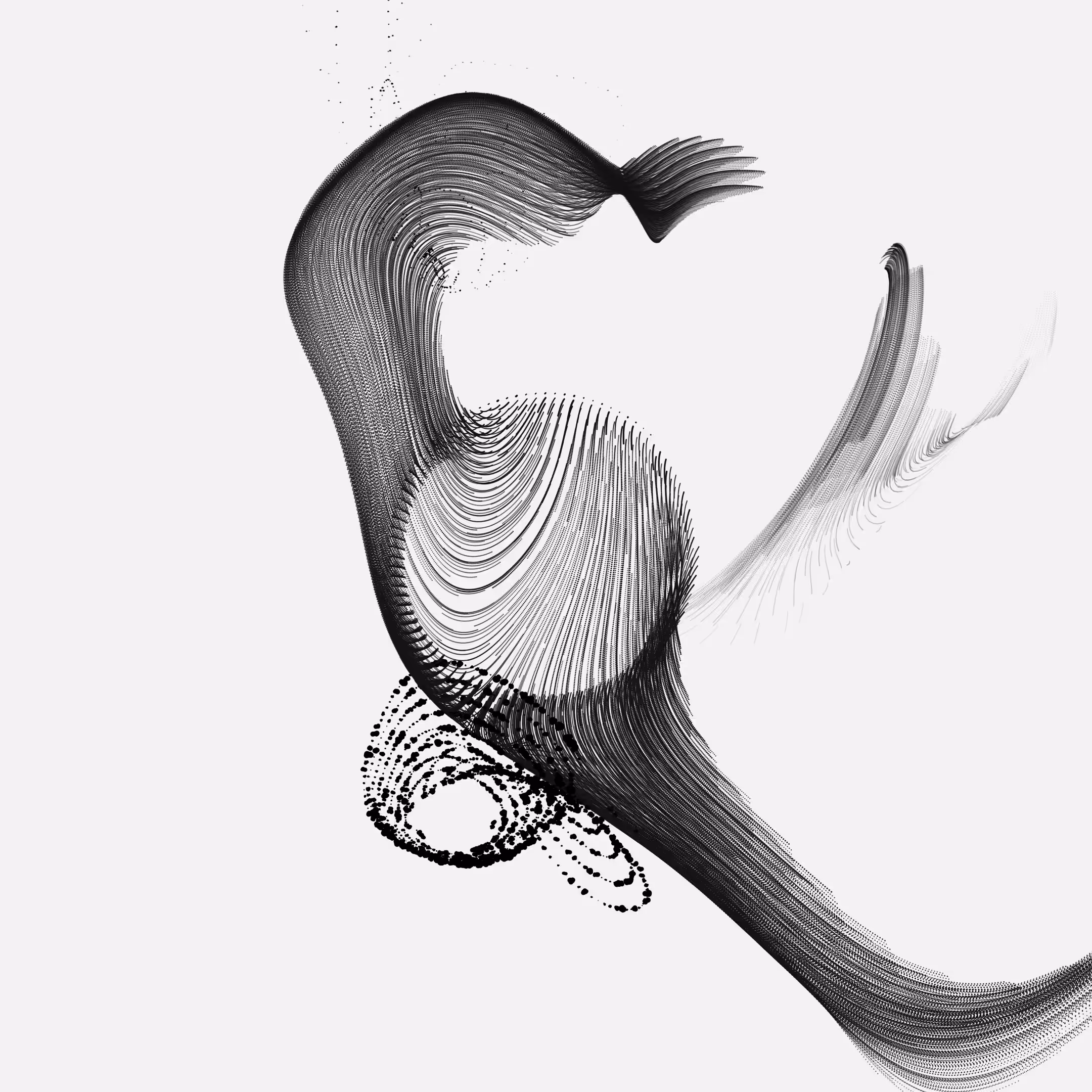 Murmuration 05/10