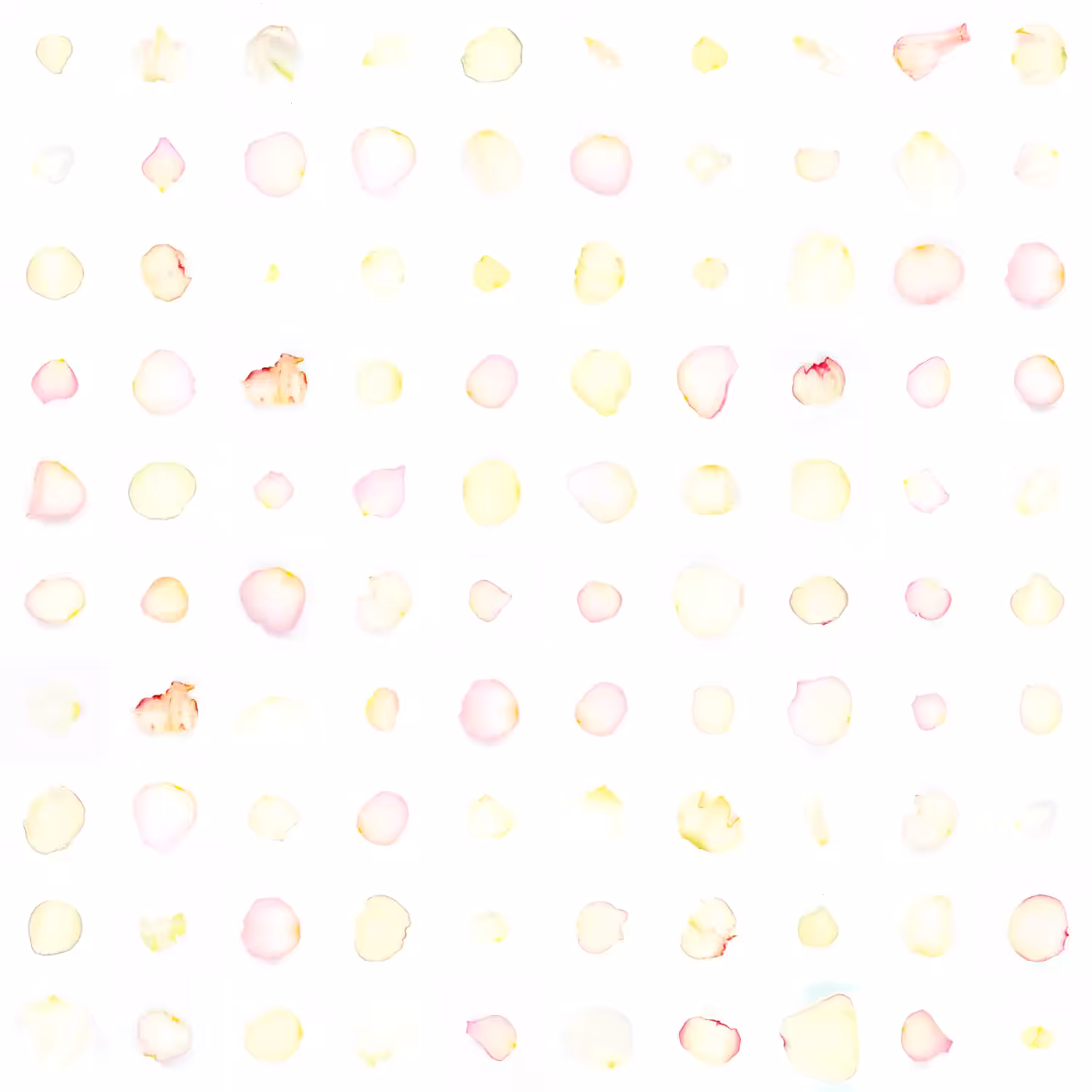 Infinite Petals 10x10#1177