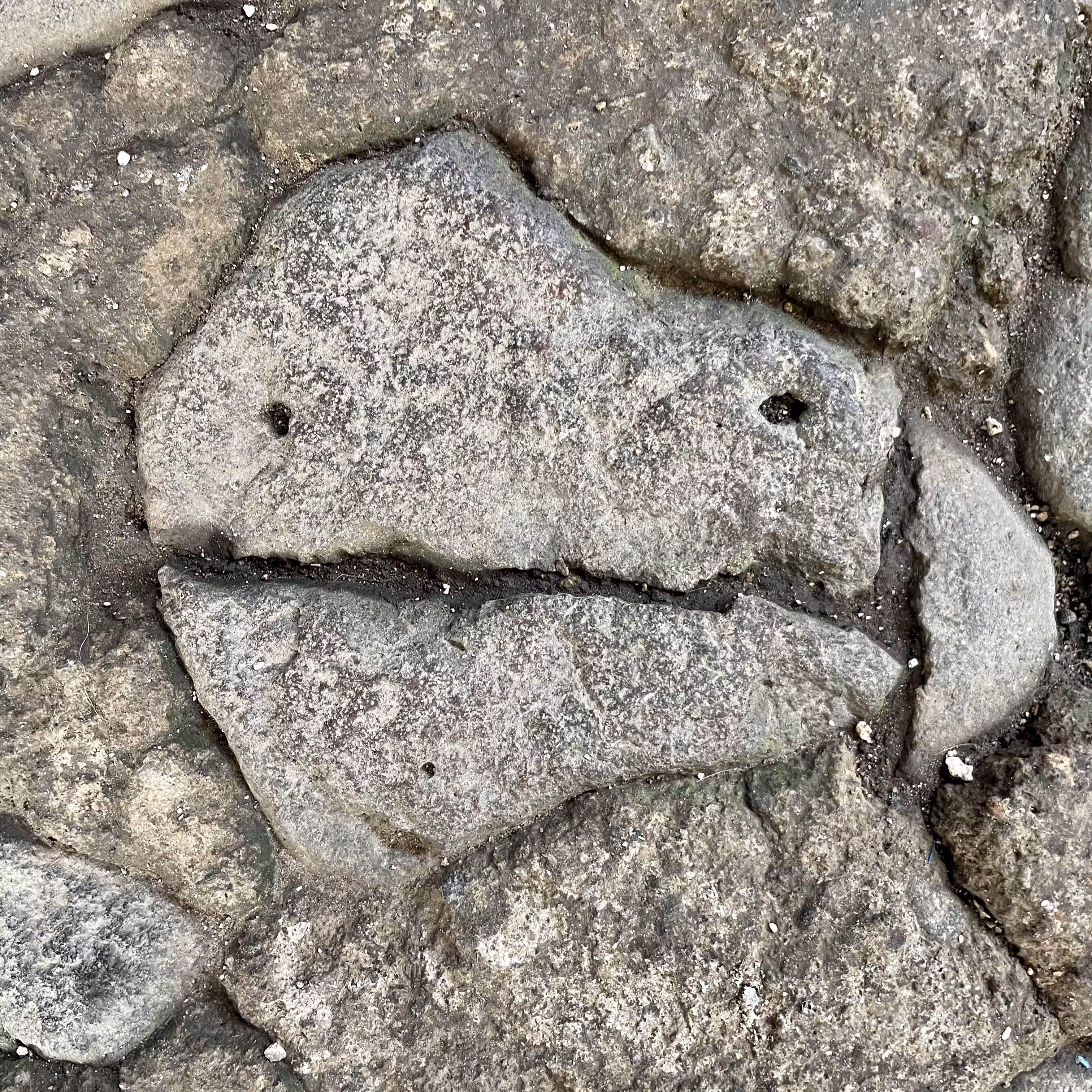 Face #110